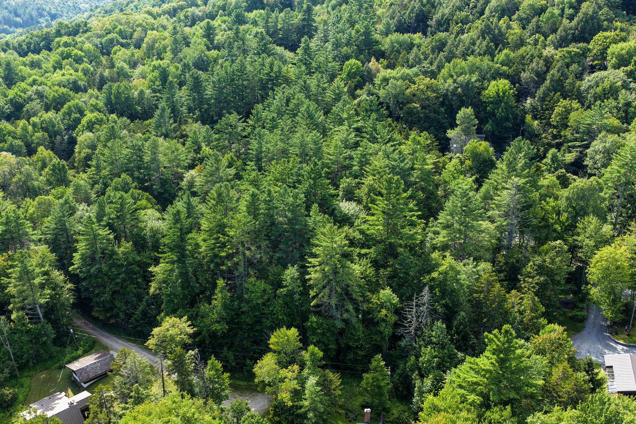 100 Hawk Trail Property Photo 12