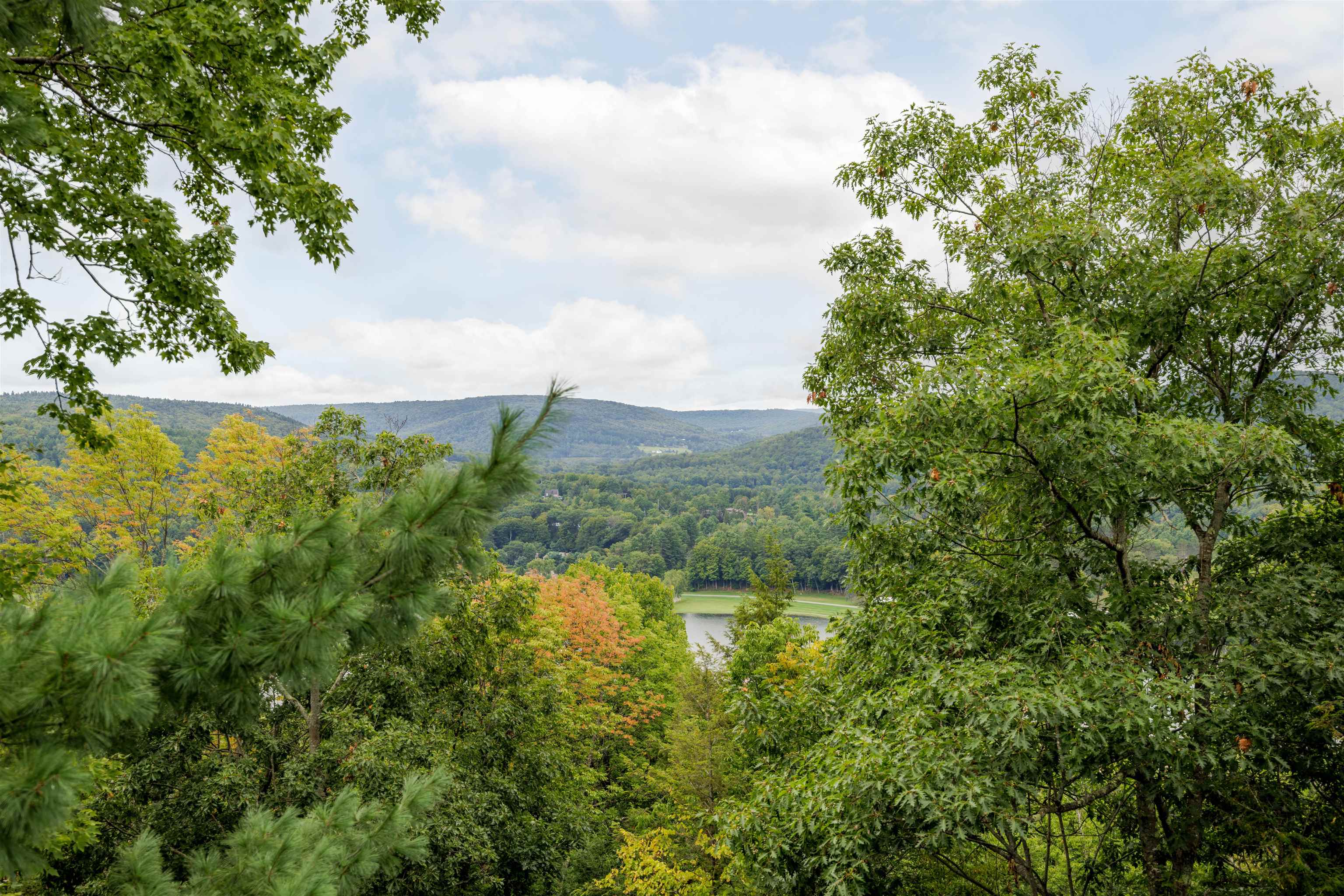 443 Alden Partridge Road Property Photo 41