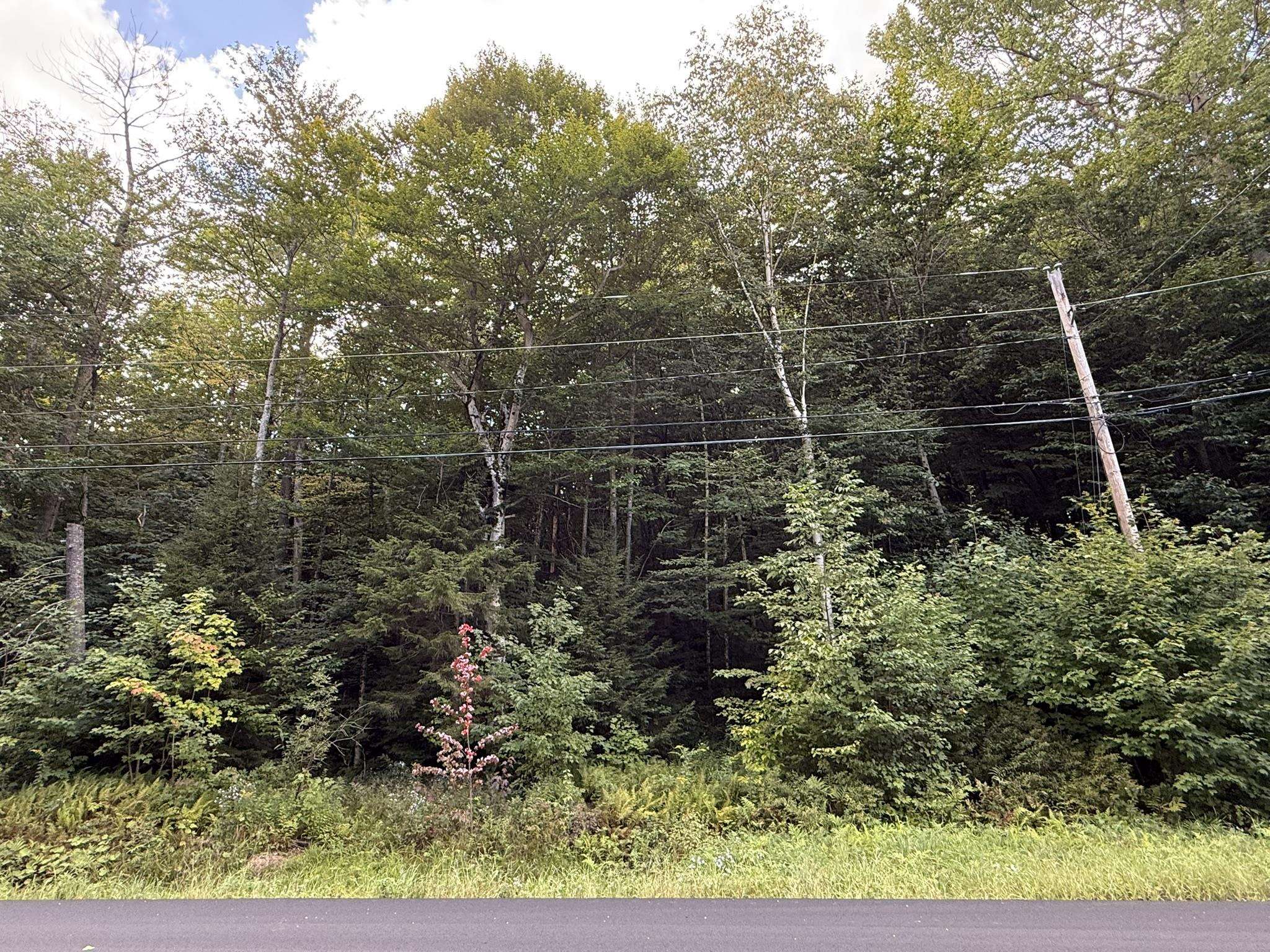 45 Buckboard Drive Property Photo 2