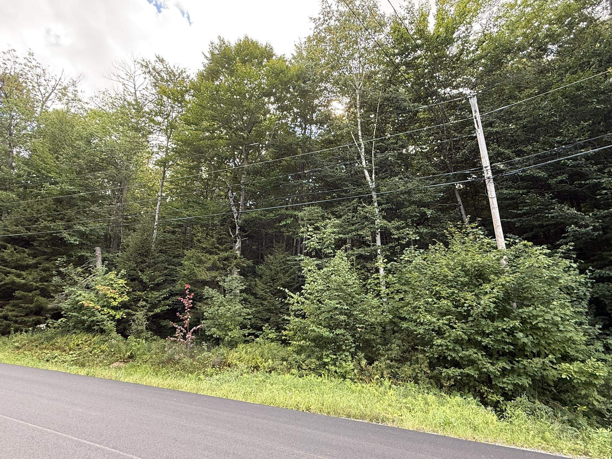 45 Buckboard Drive Property Photo 3