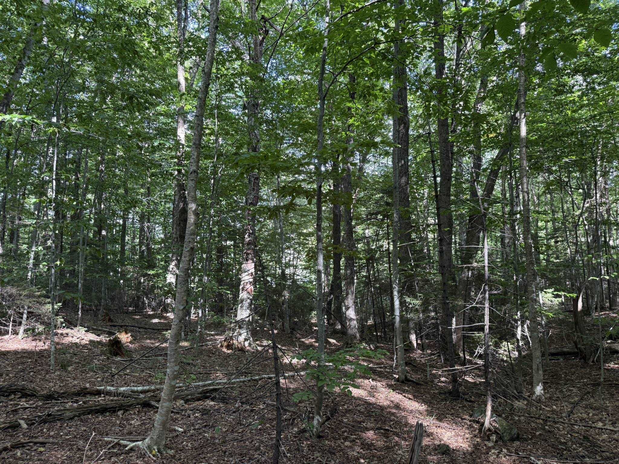 45 Buckboard Drive Property Photo 8