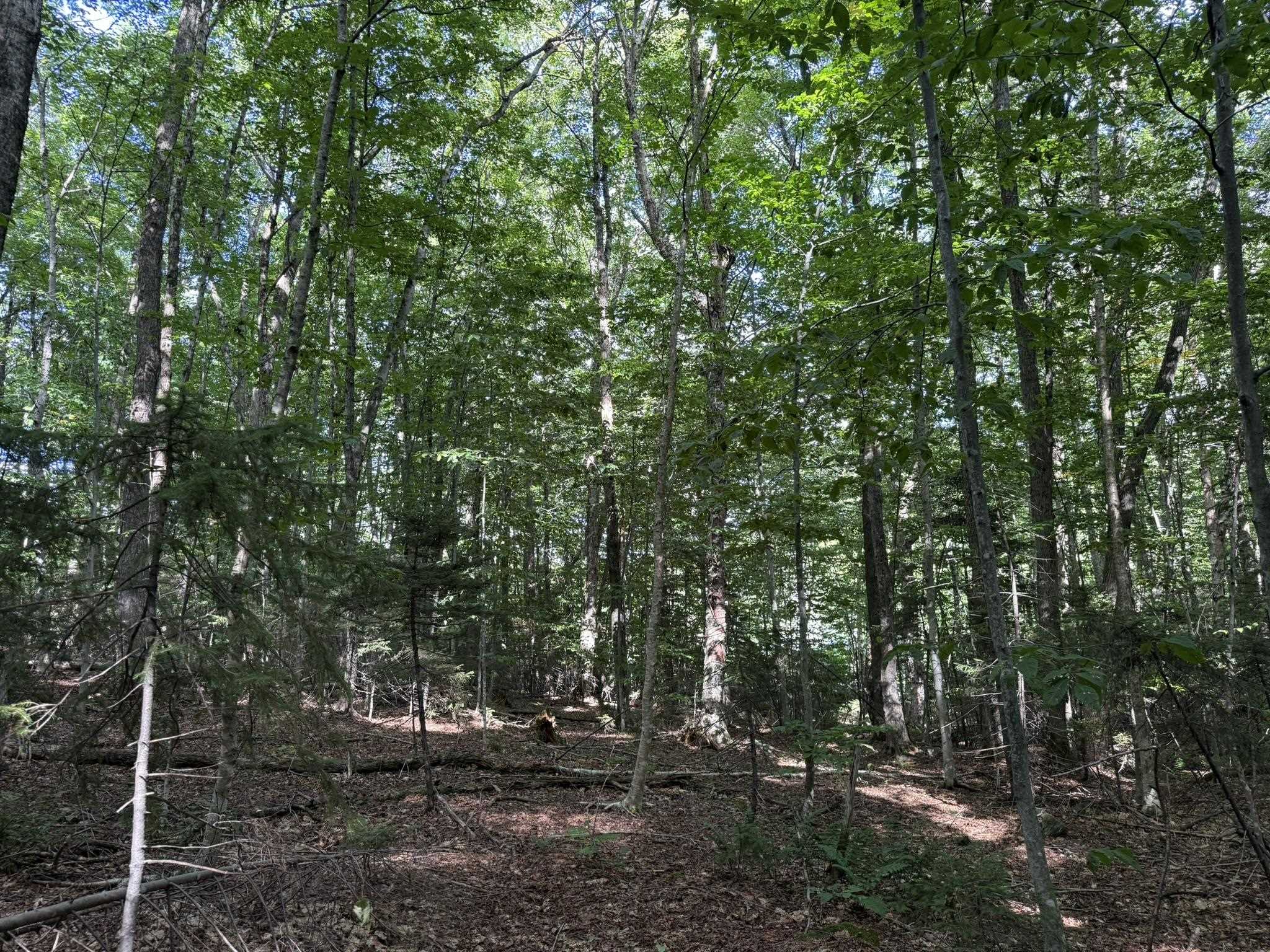 45 Buckboard Drive Property Photo 10