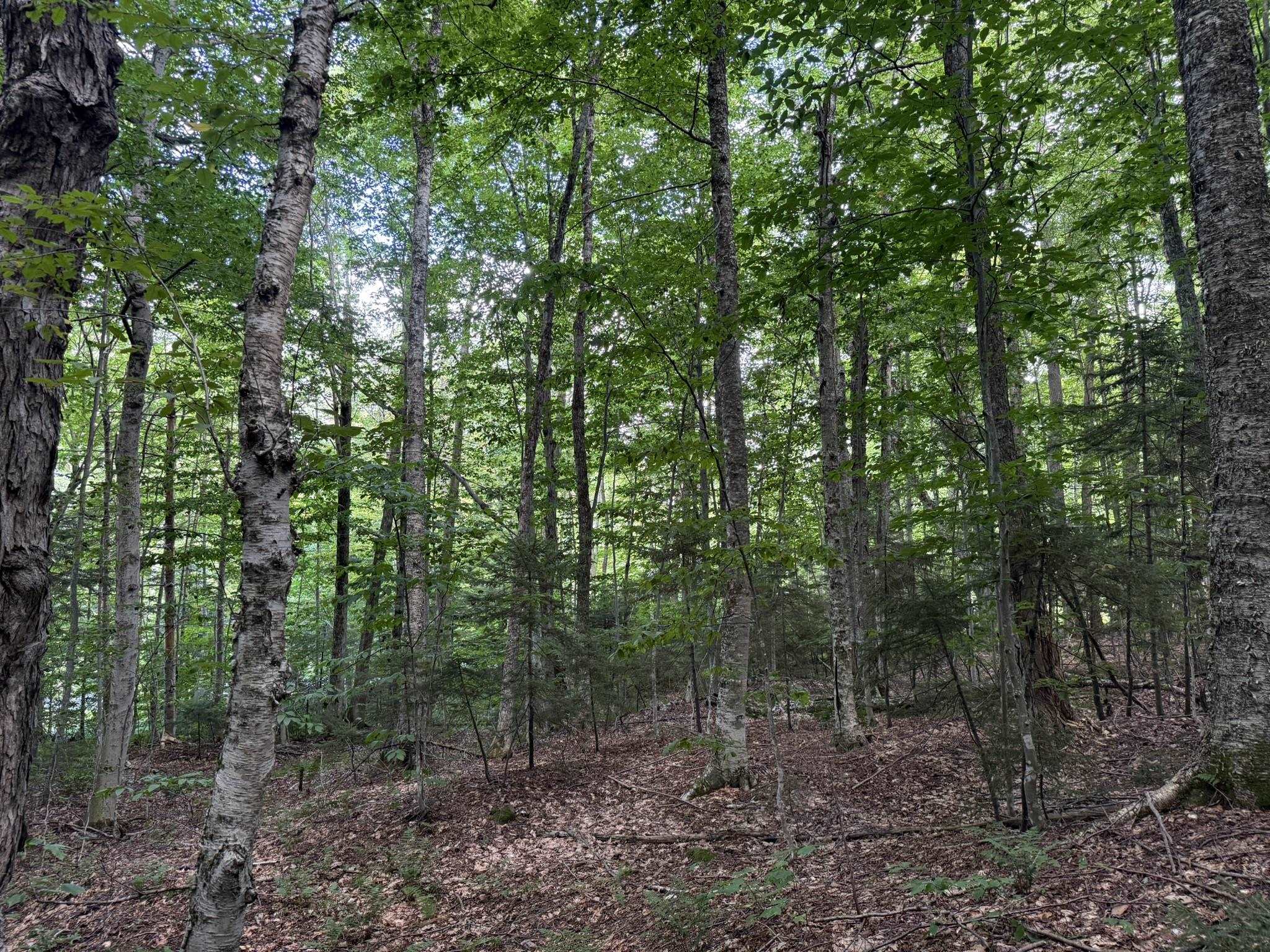 45 Buckboard Drive Property Photo 12