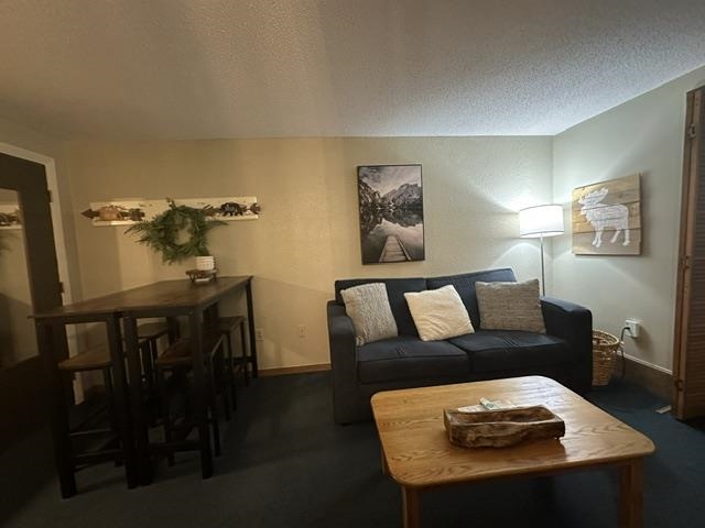 2955 White Mountain Highway Property Photo 11