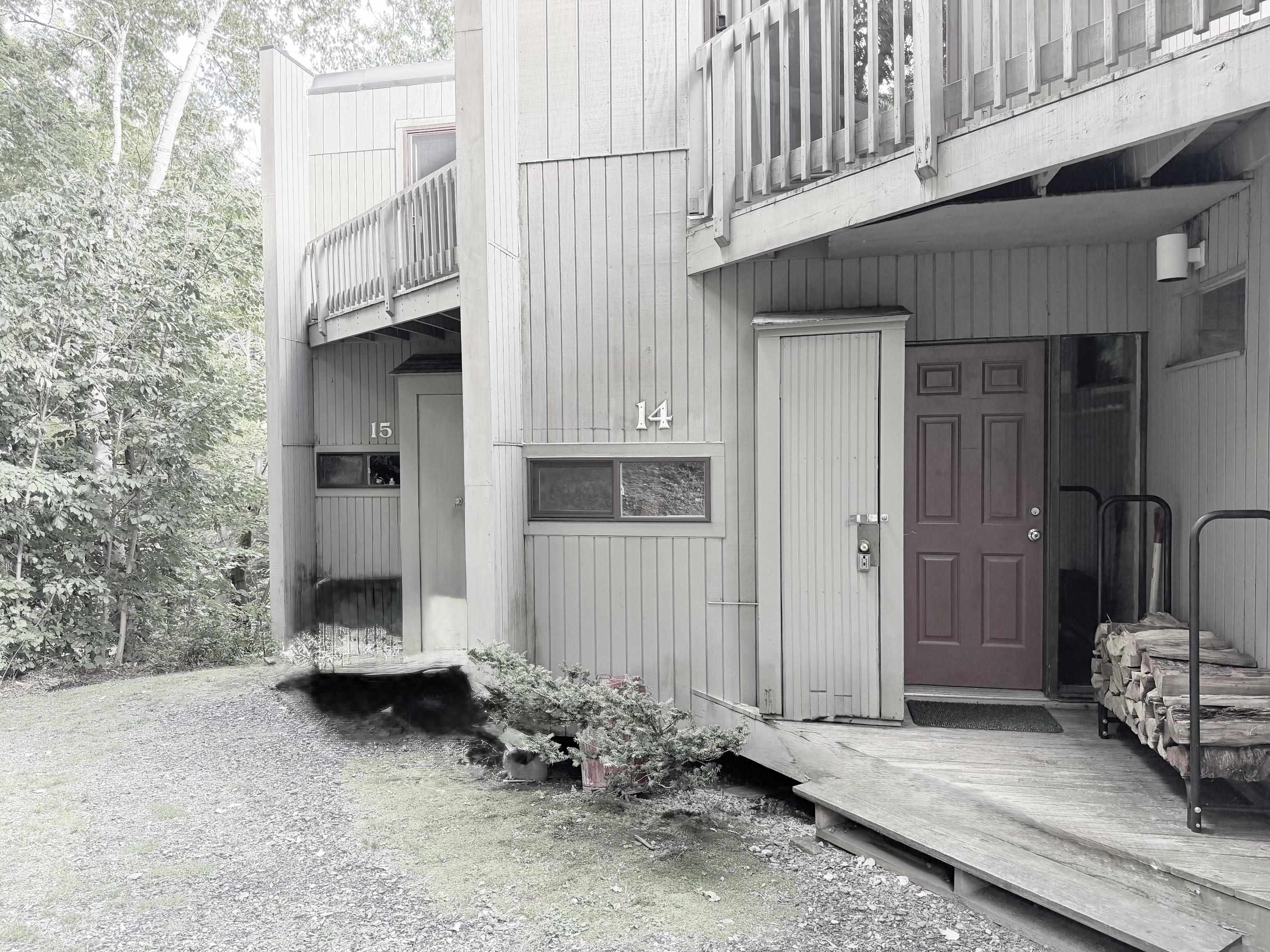 72 Trailside Drive Property Photo 37