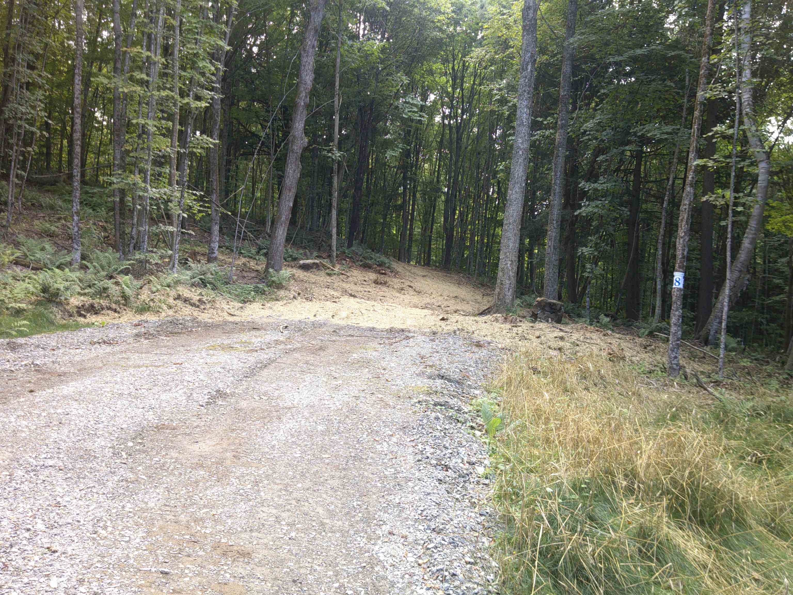0 Dogwood Springs Road Property Photo 8