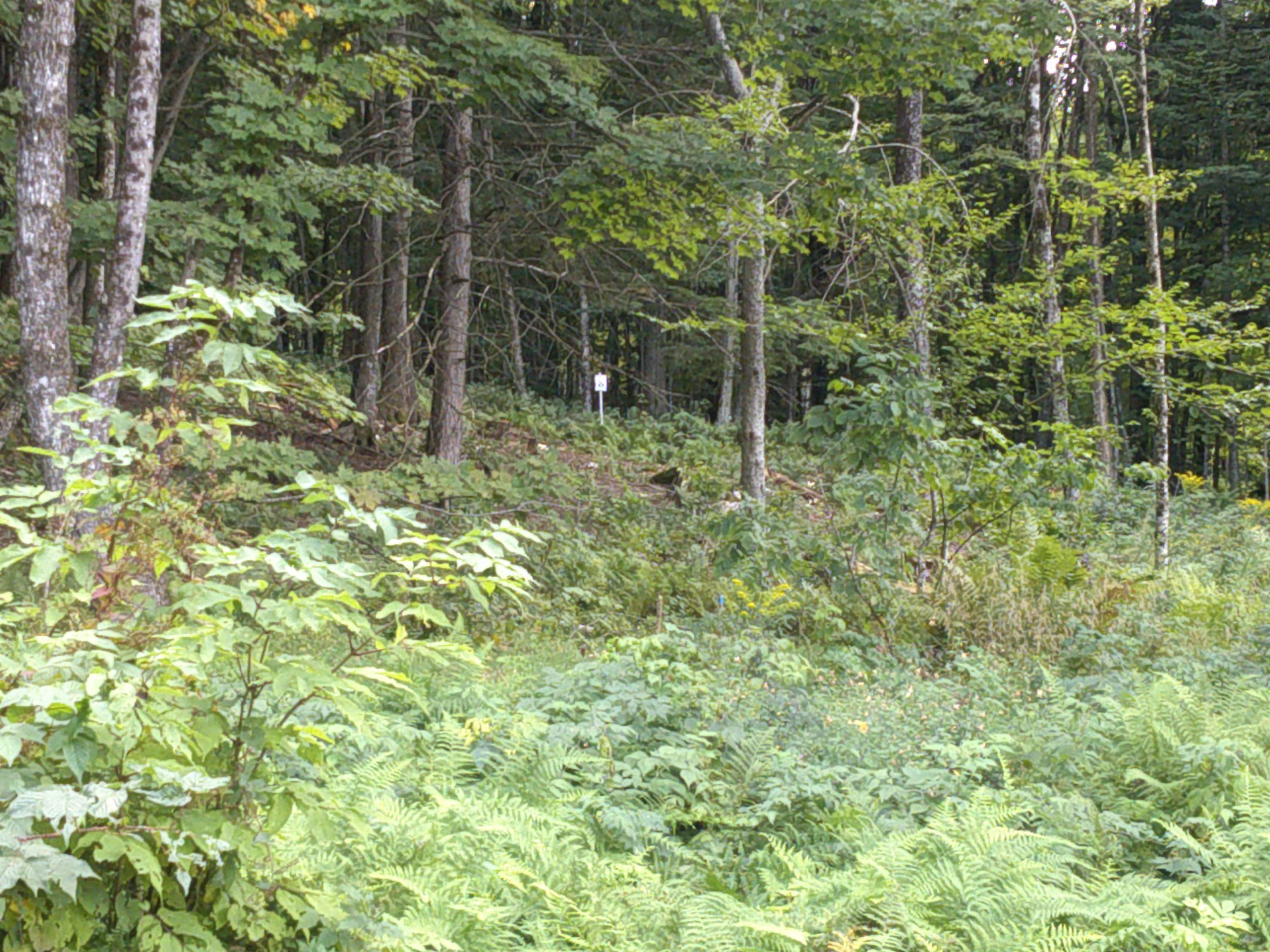 0 Dogwood Springs Road Property Photo 10