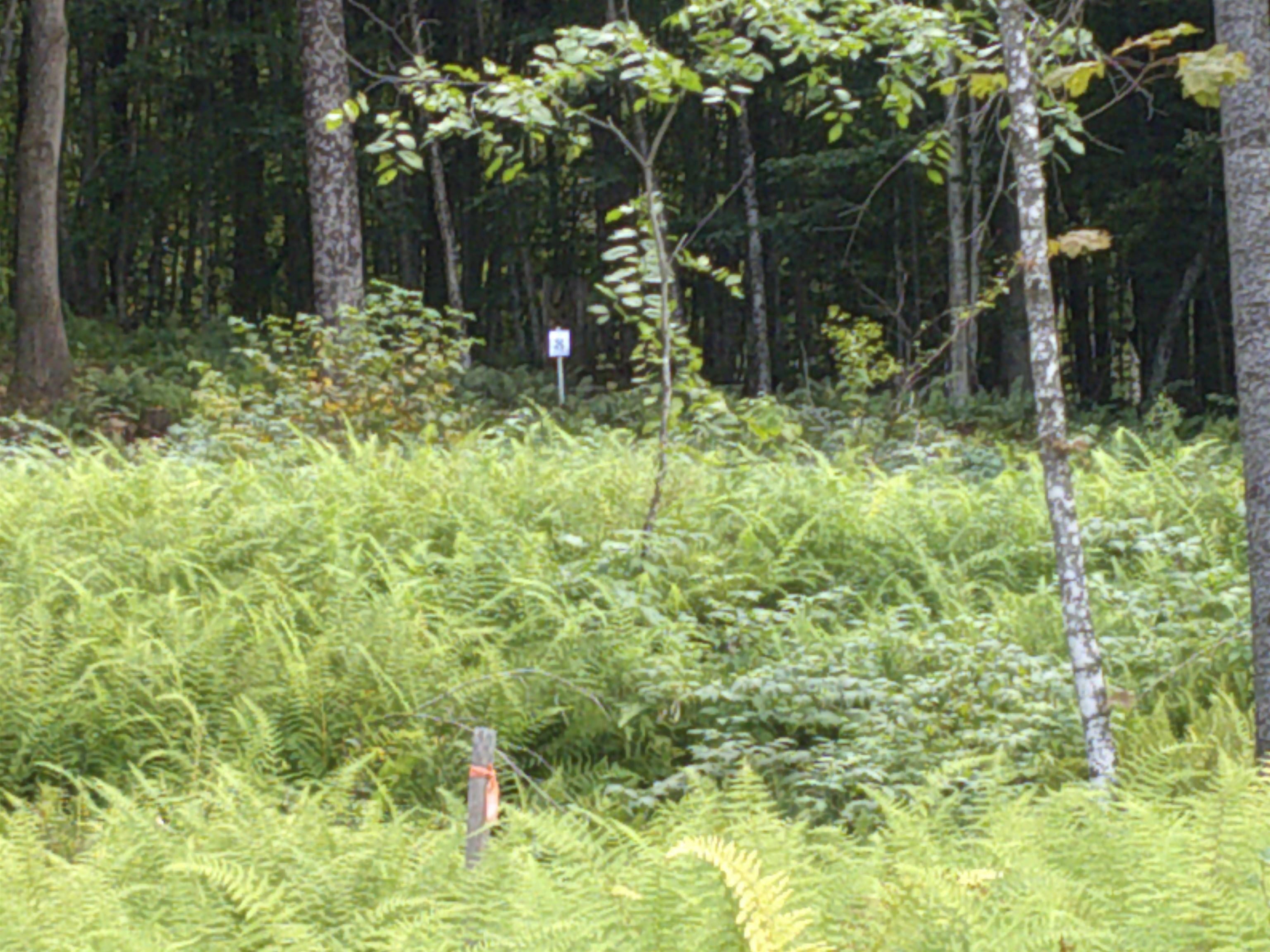 0 Dogwood Springs Road Property Photo 12