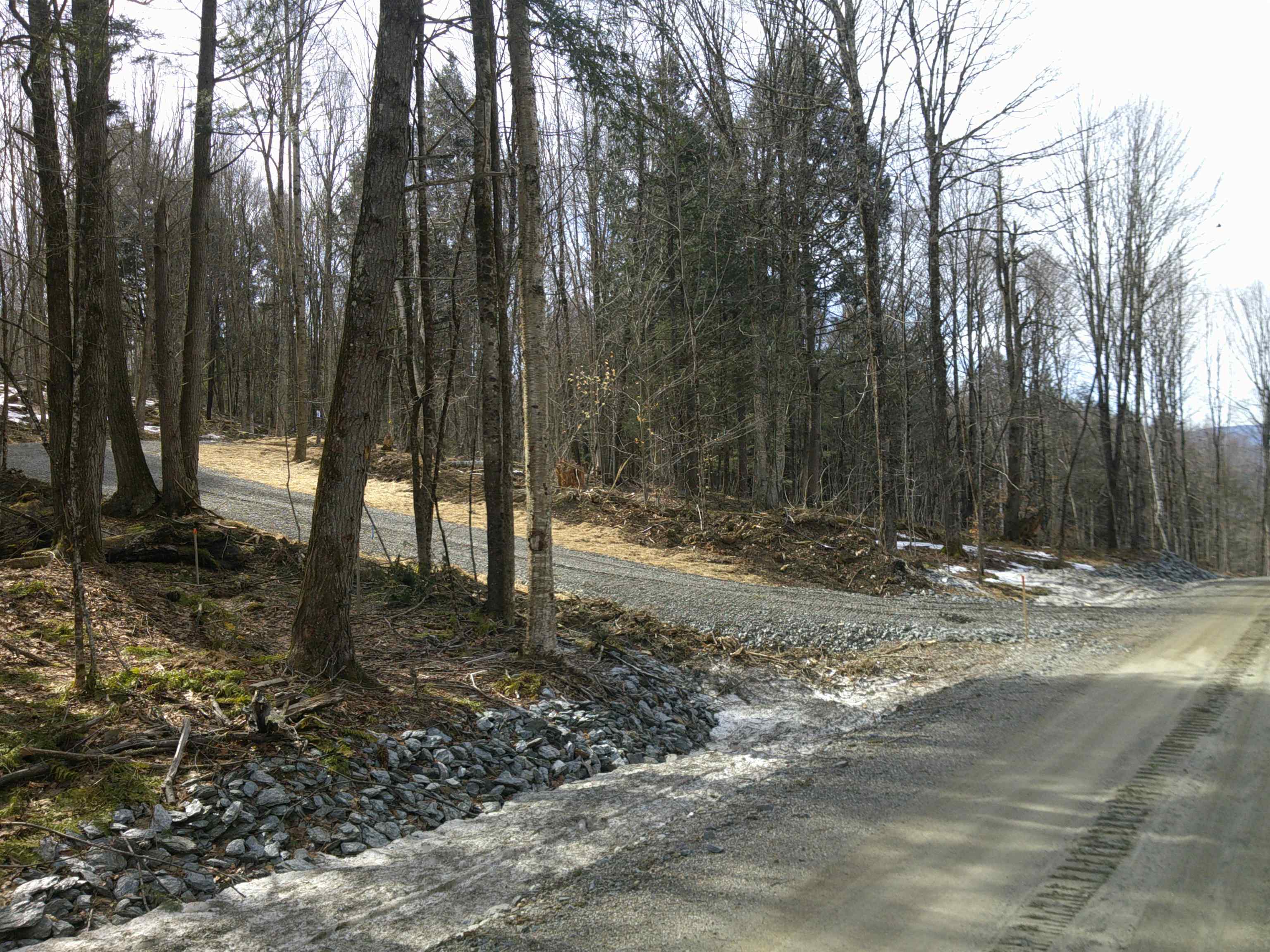 0 Dogwood Springs Road Property Photo 30