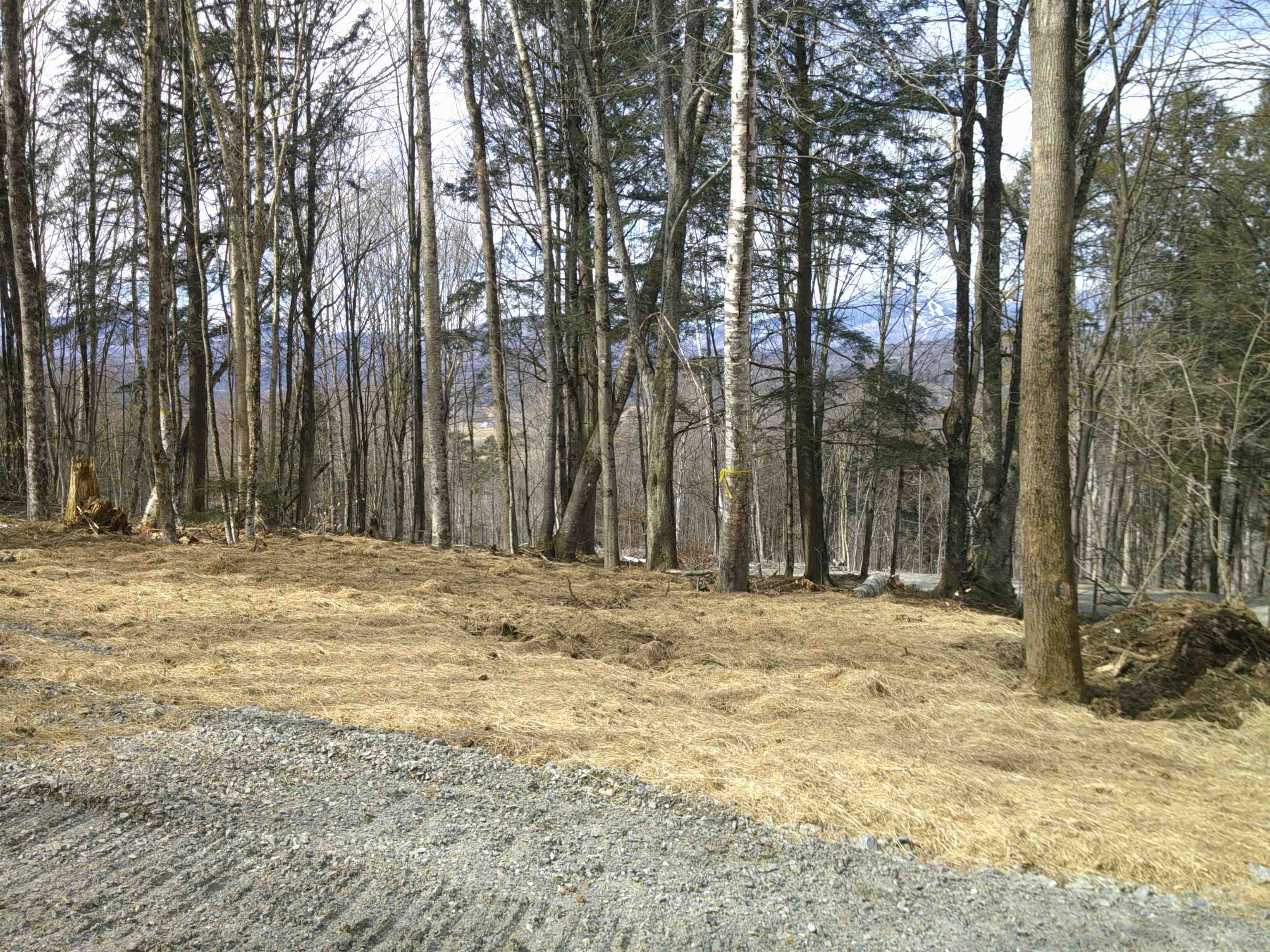 0 Dogwood Springs Road Property Photo 36