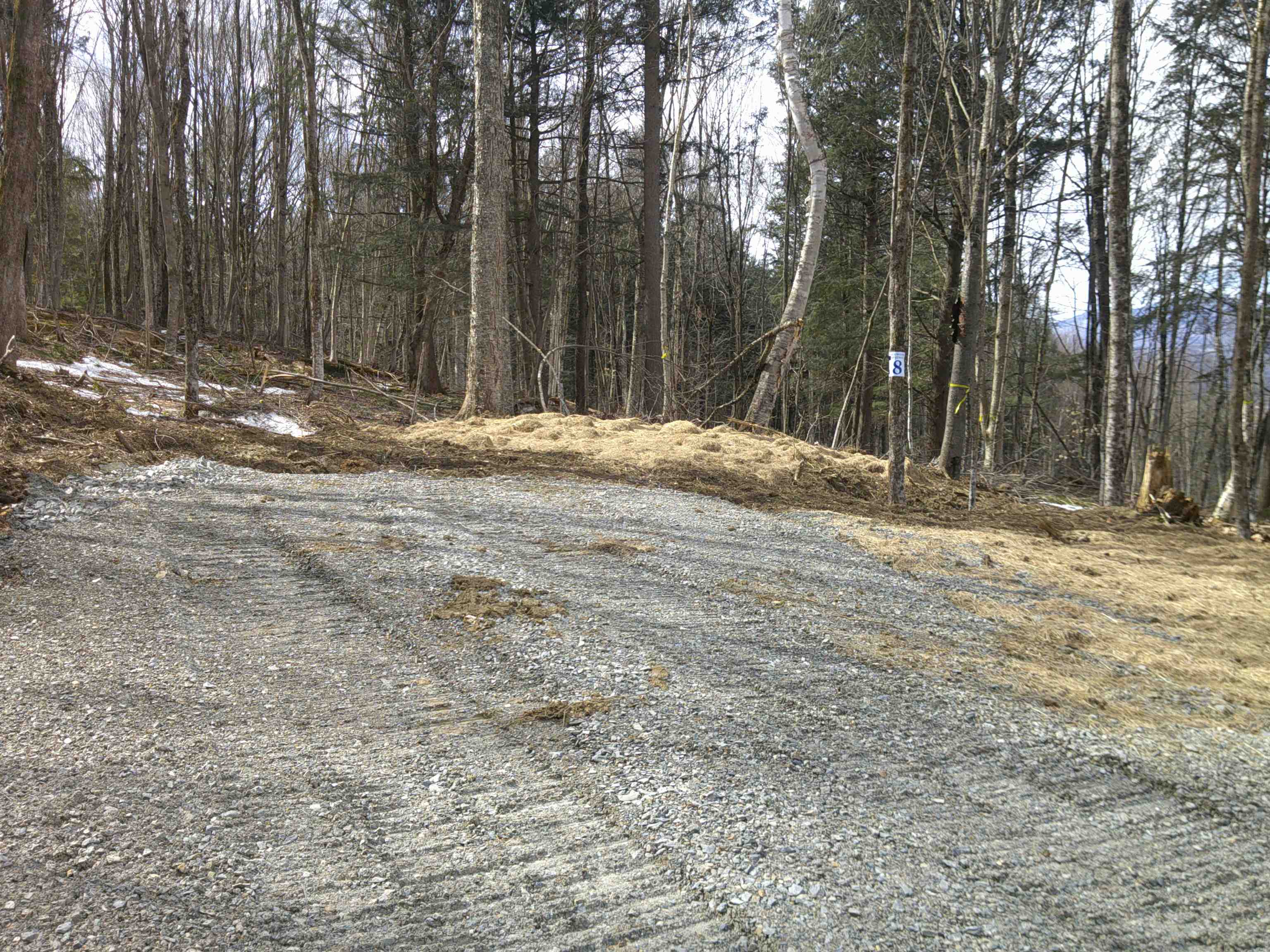 0 Dogwood Springs Road Property Photo 37