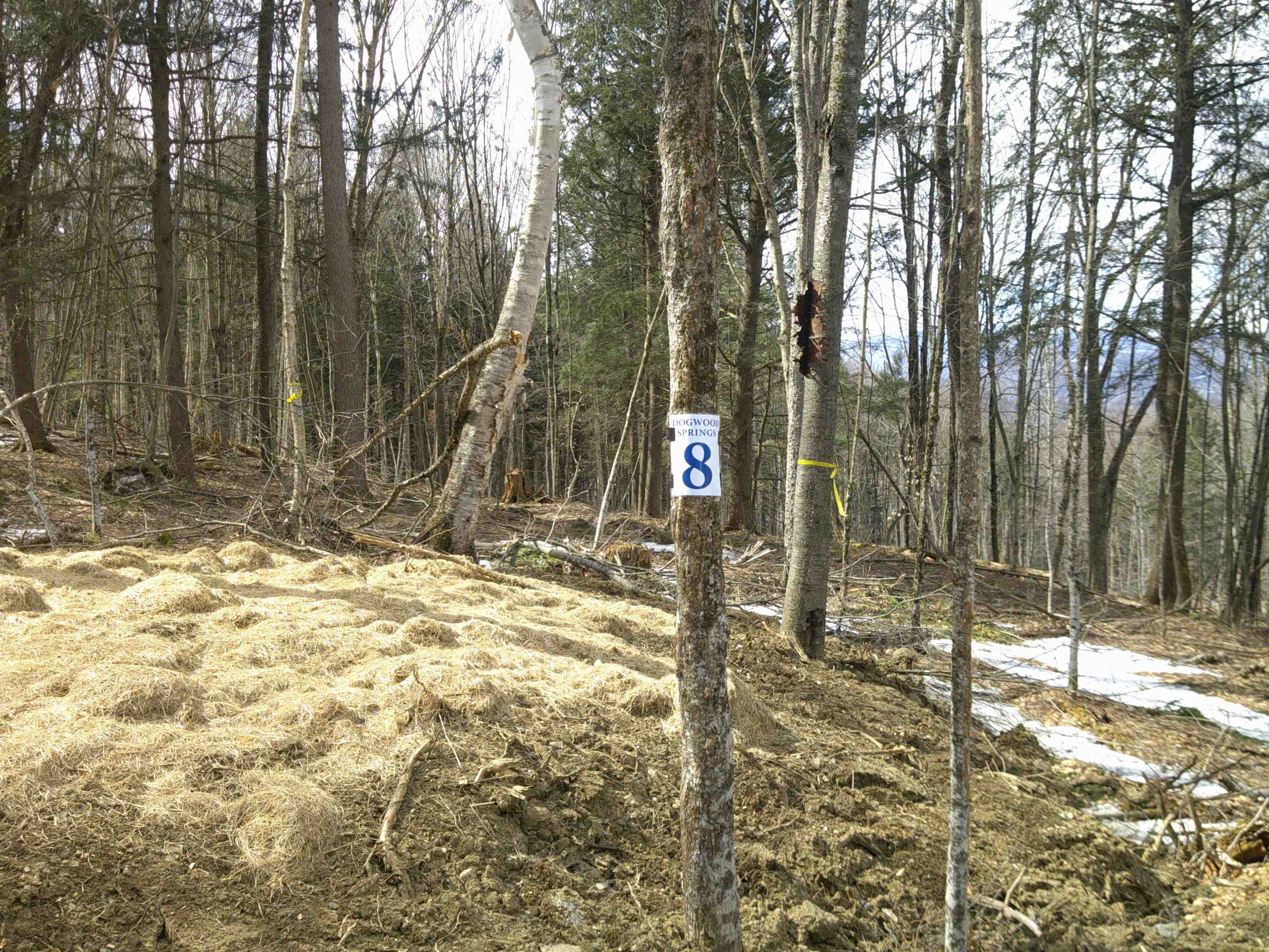 0 Dogwood Springs Road Property Photo 38