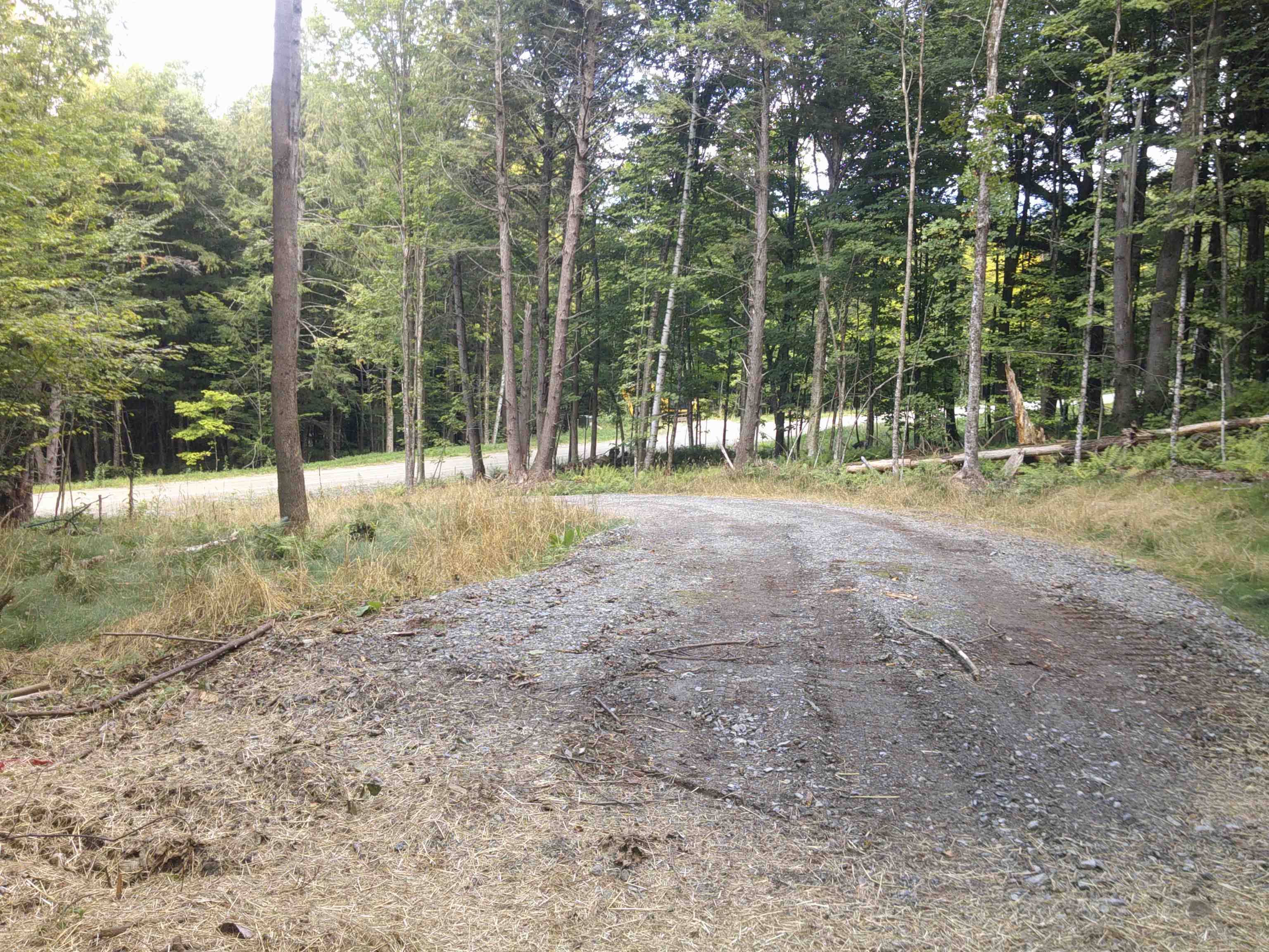 0 Dogwood Springs Road Property Photo 39