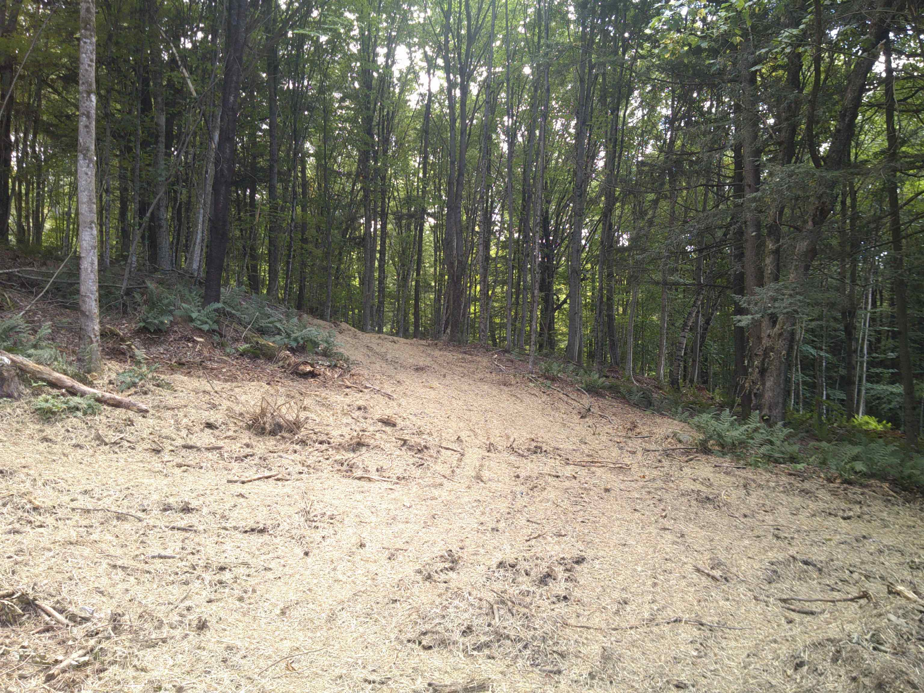 0 Dogwood Springs Road Property Photo 40