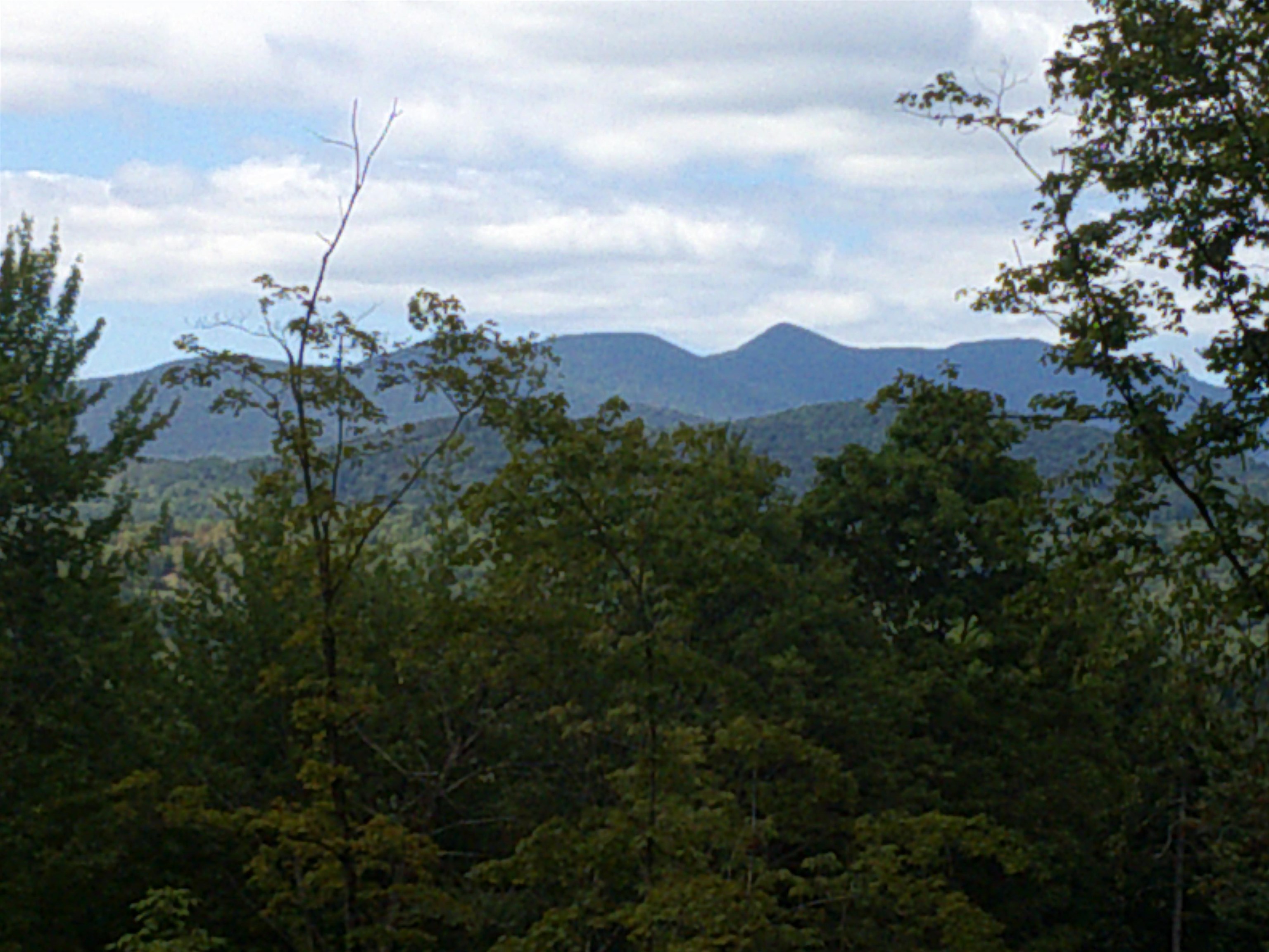 0 Dogwood Springs Road Property Photo 42