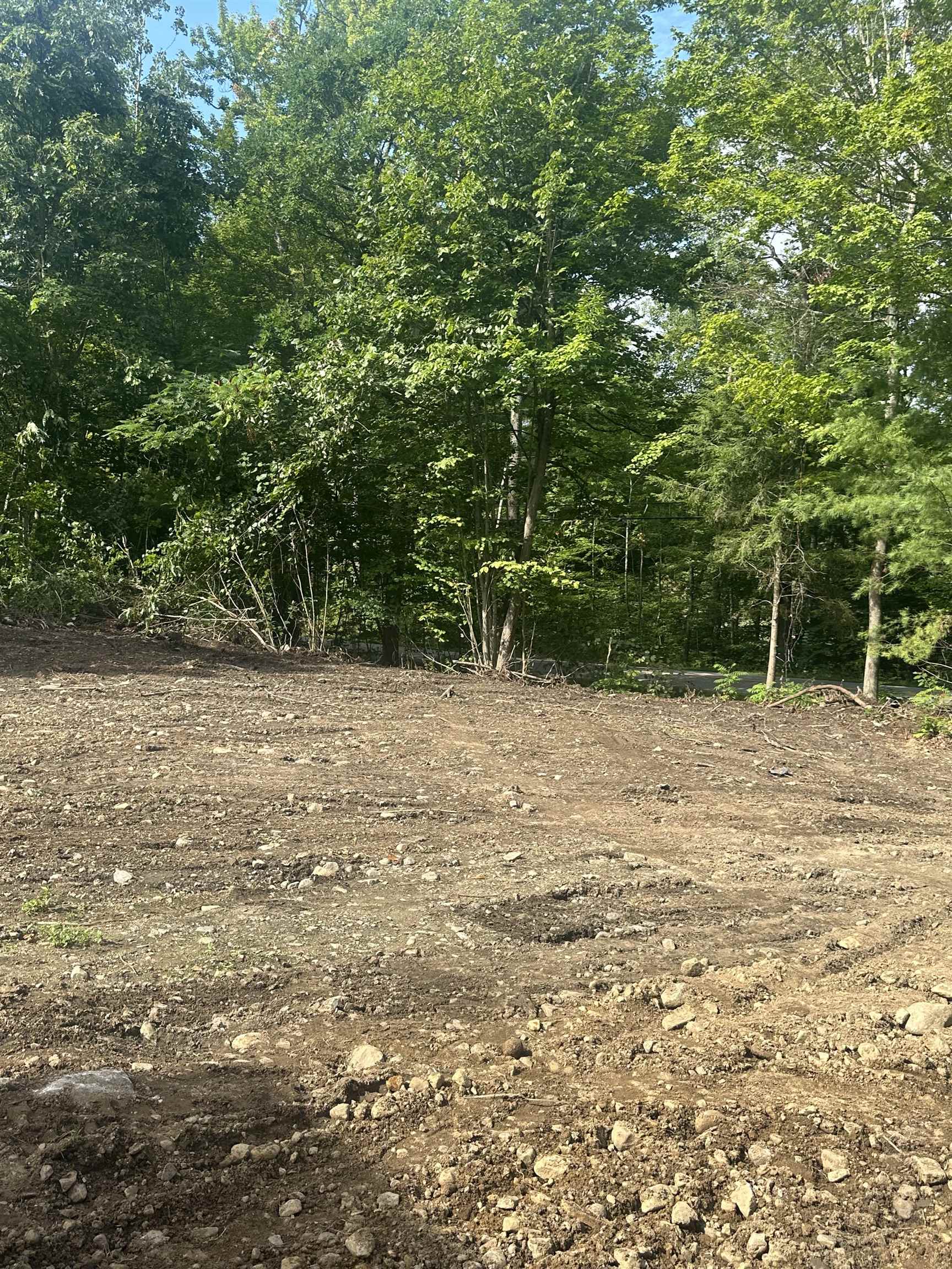 1455 Lake Dunmore Road Property Photo 7