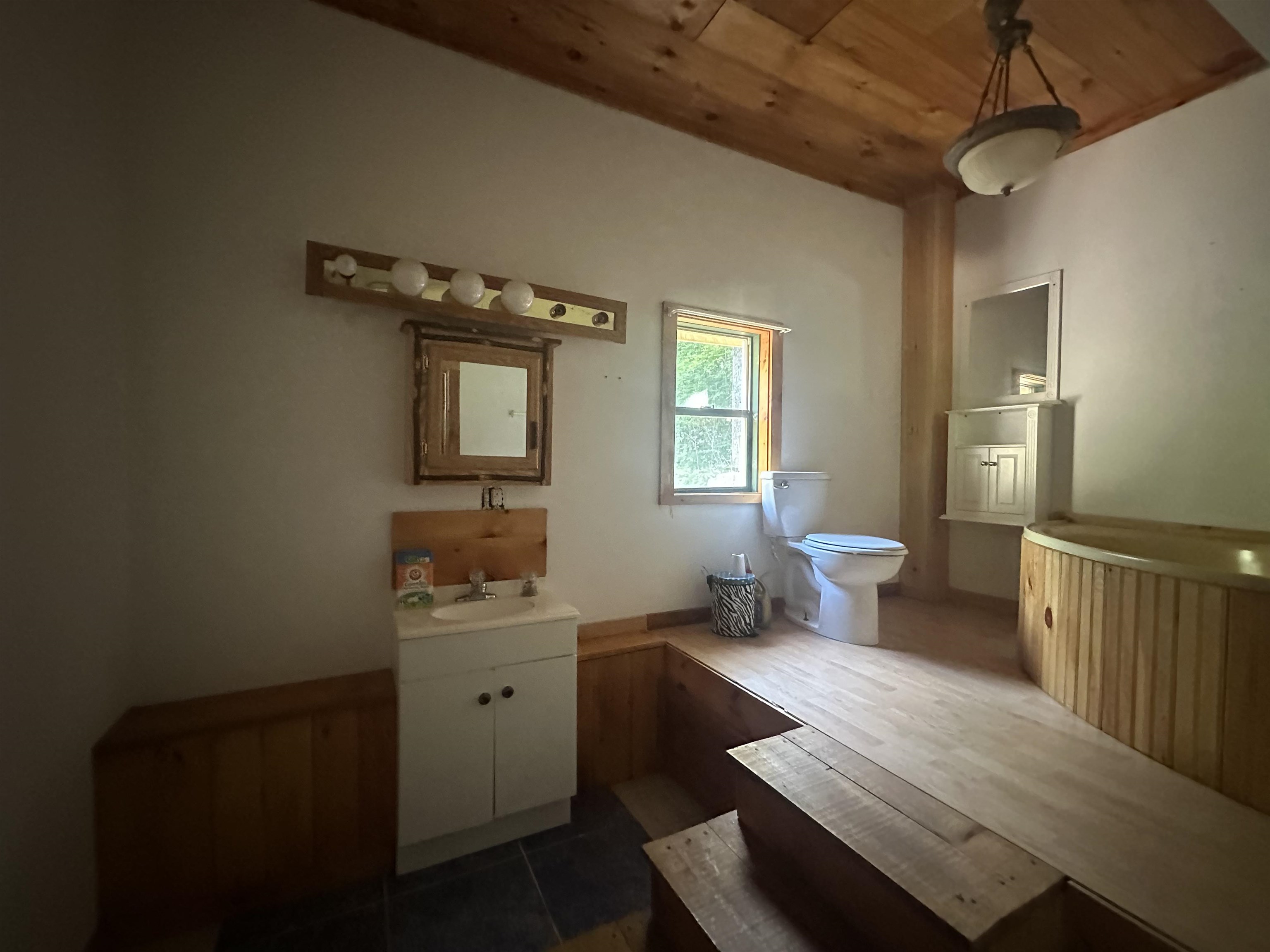 1455 Lake Dunmore Road Property Photo 15