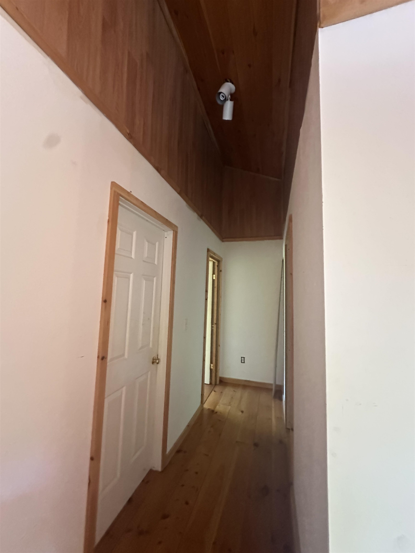 1455 Lake Dunmore Road Property Photo 16