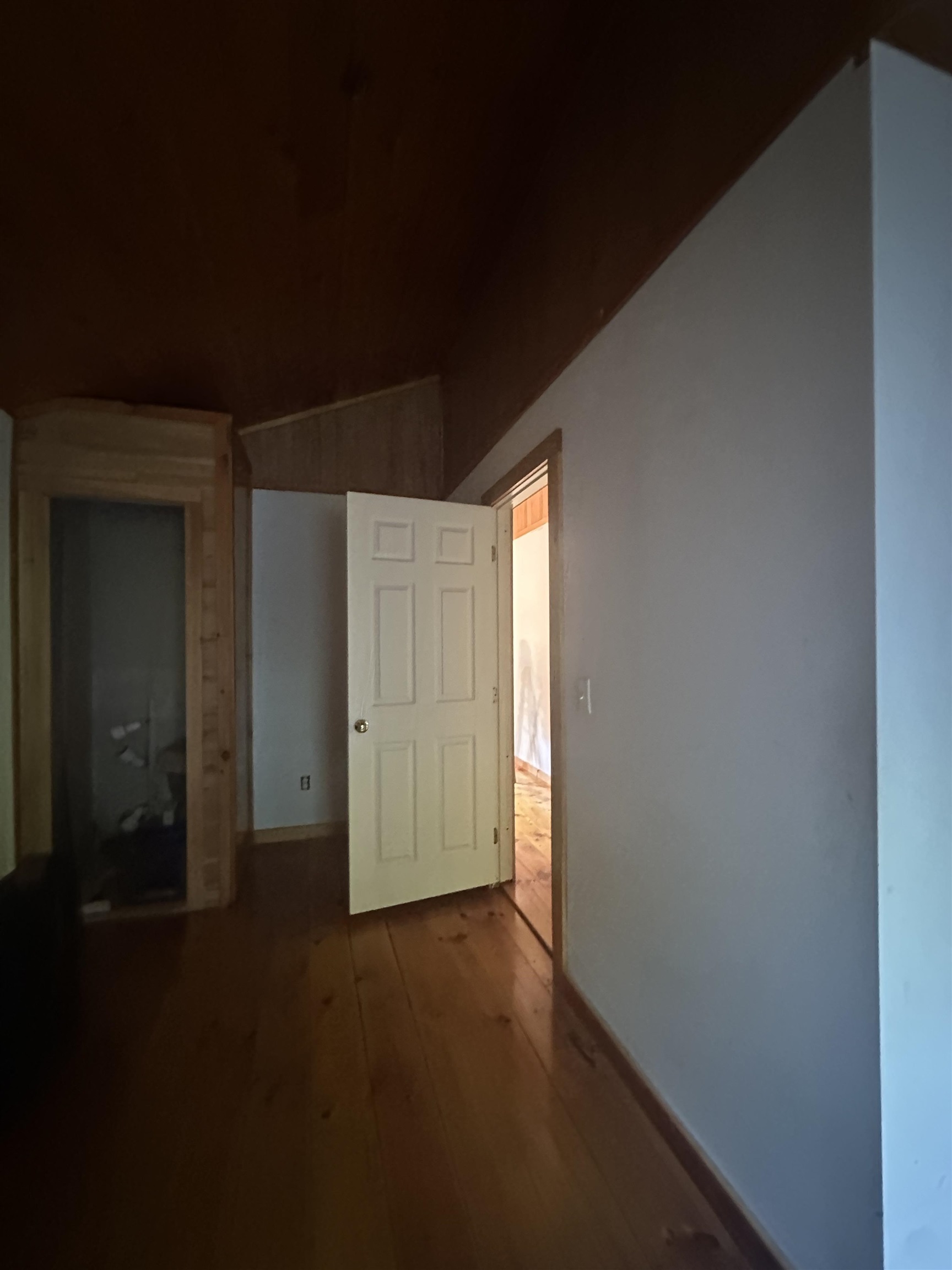1455 Lake Dunmore Road Property Photo 21