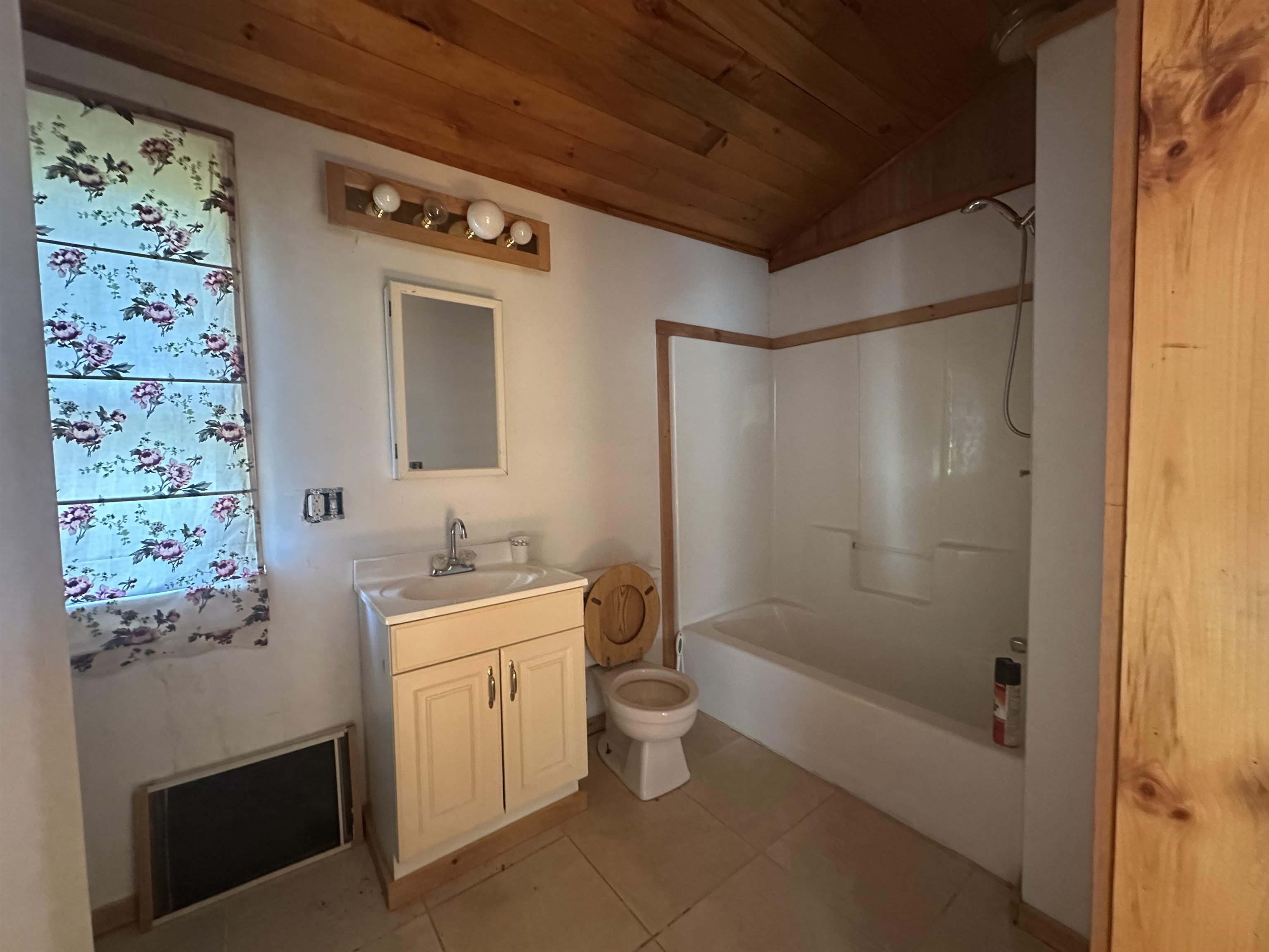 1455 Lake Dunmore Road Property Photo 24