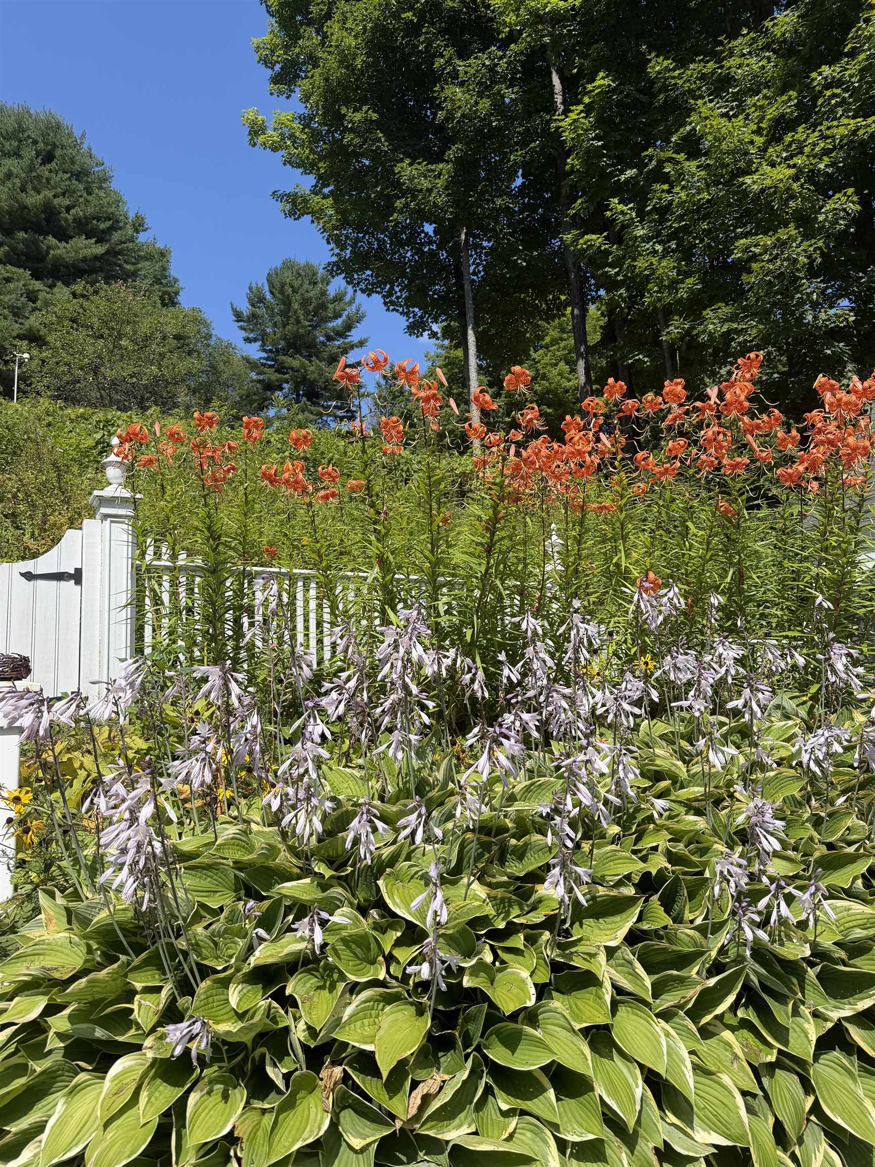 408 Ridge Road Property Photo 60