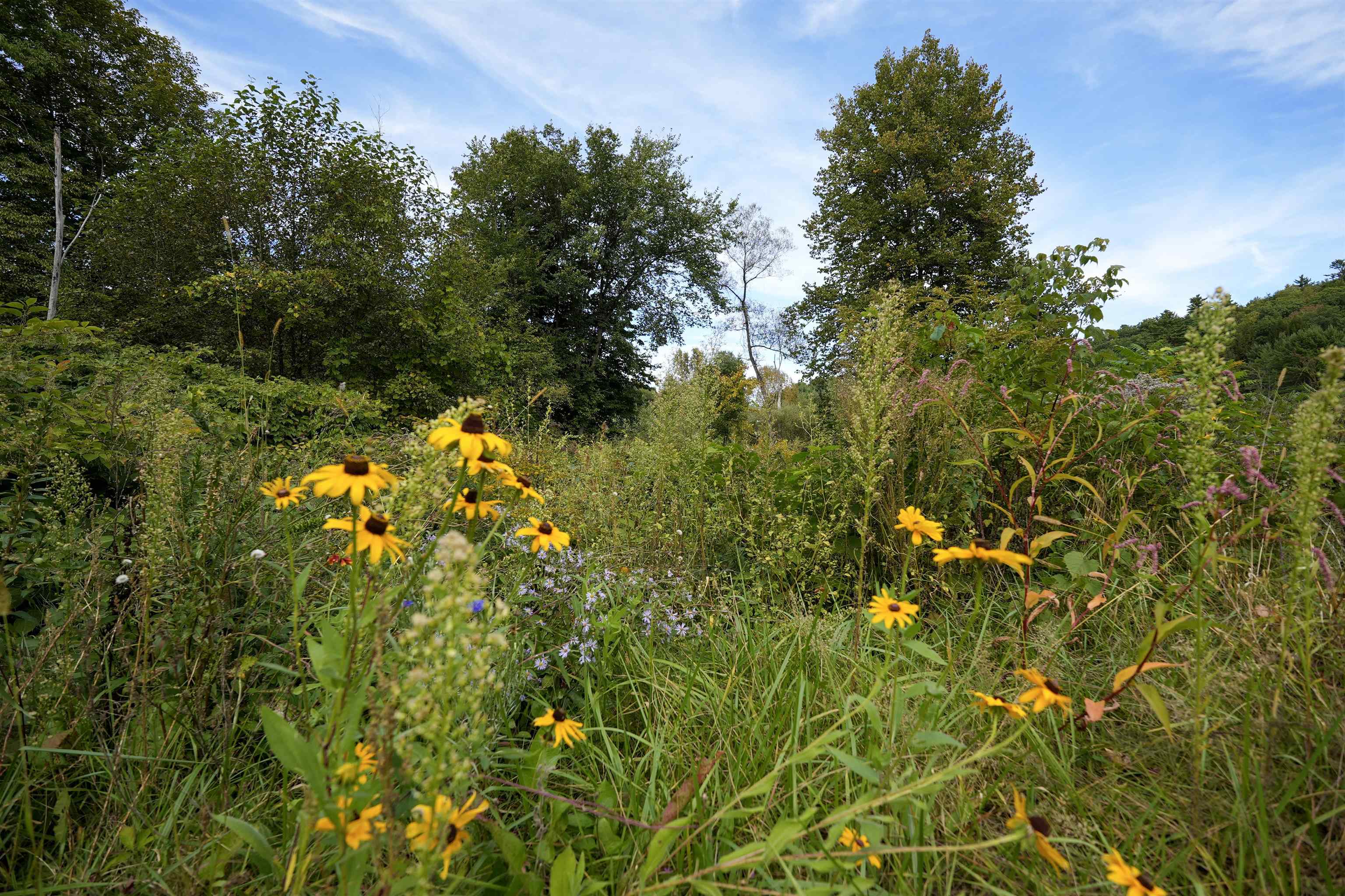 1268 County Road Property Photo 53