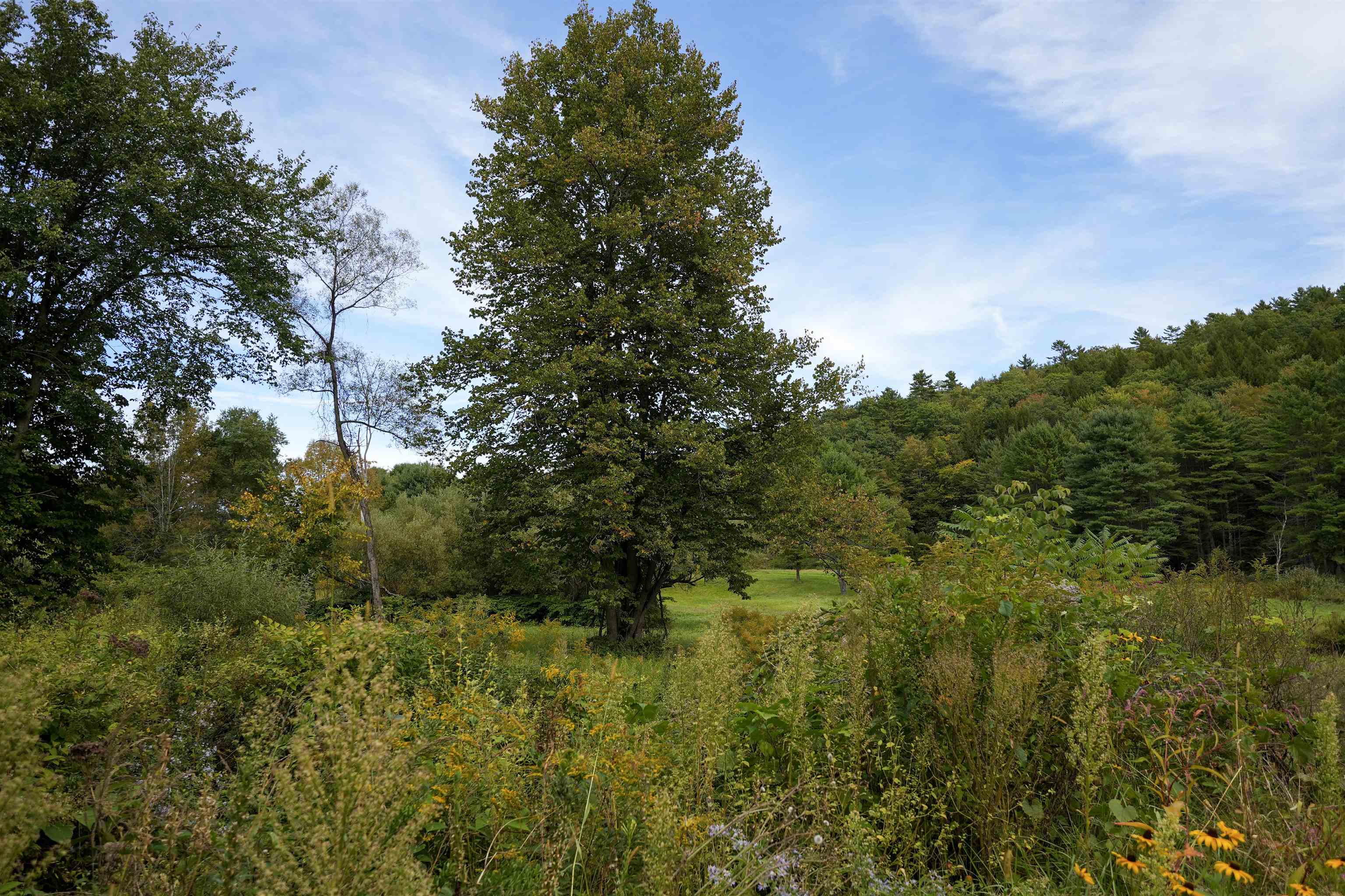 1268 County Road Property Photo 54