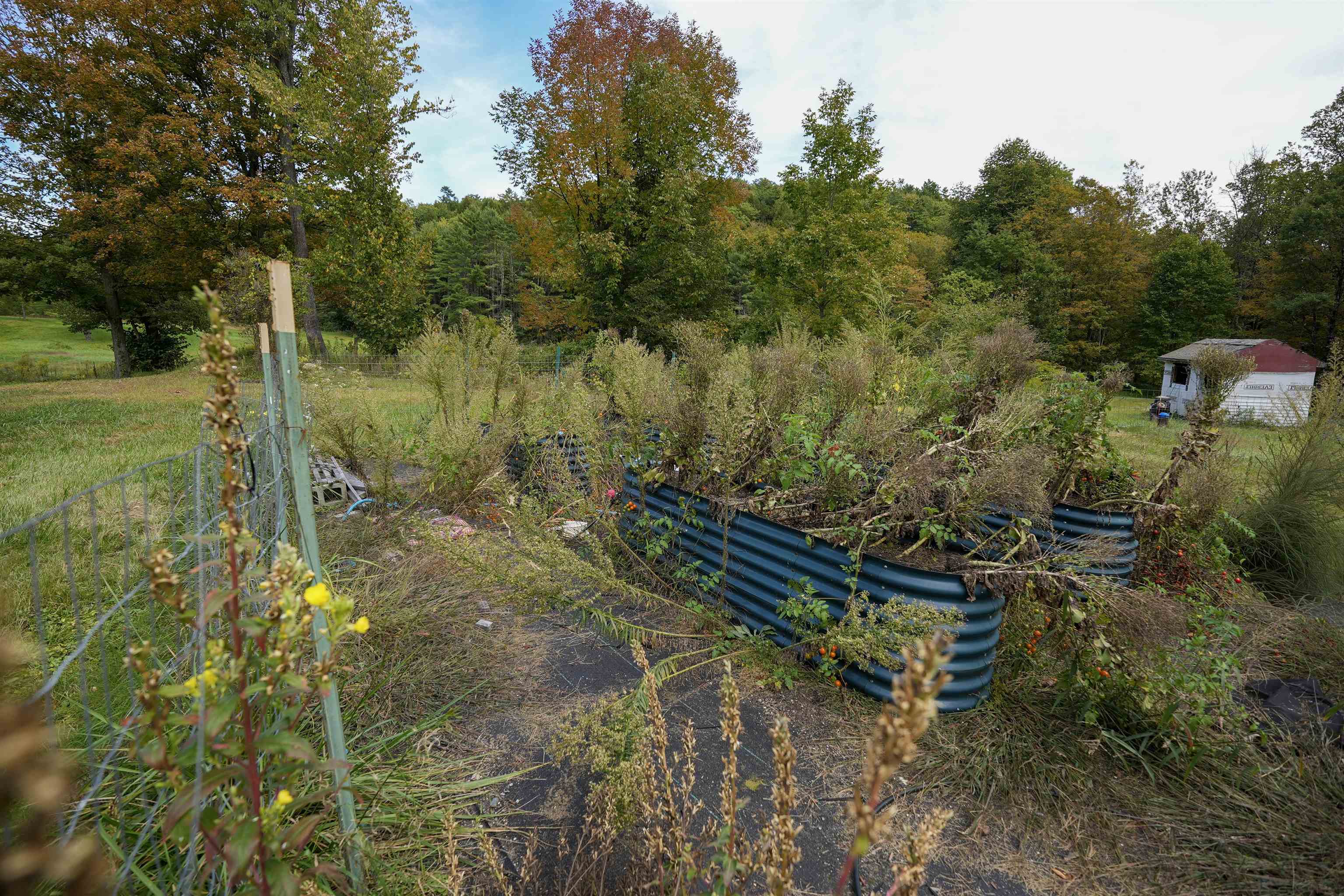 1268 County Road Property Photo 55
