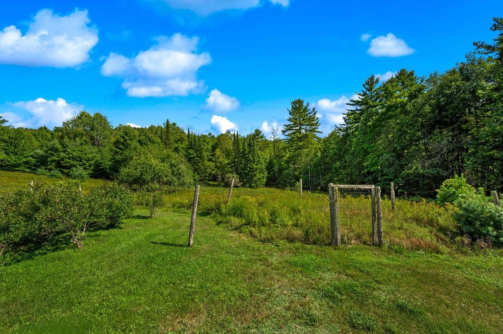 80 Sweeney Road Property Photo 43