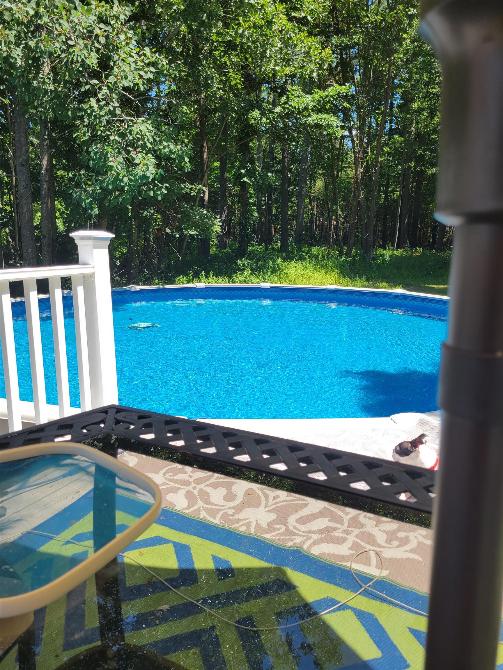 118 Chase Road Property Photo 16