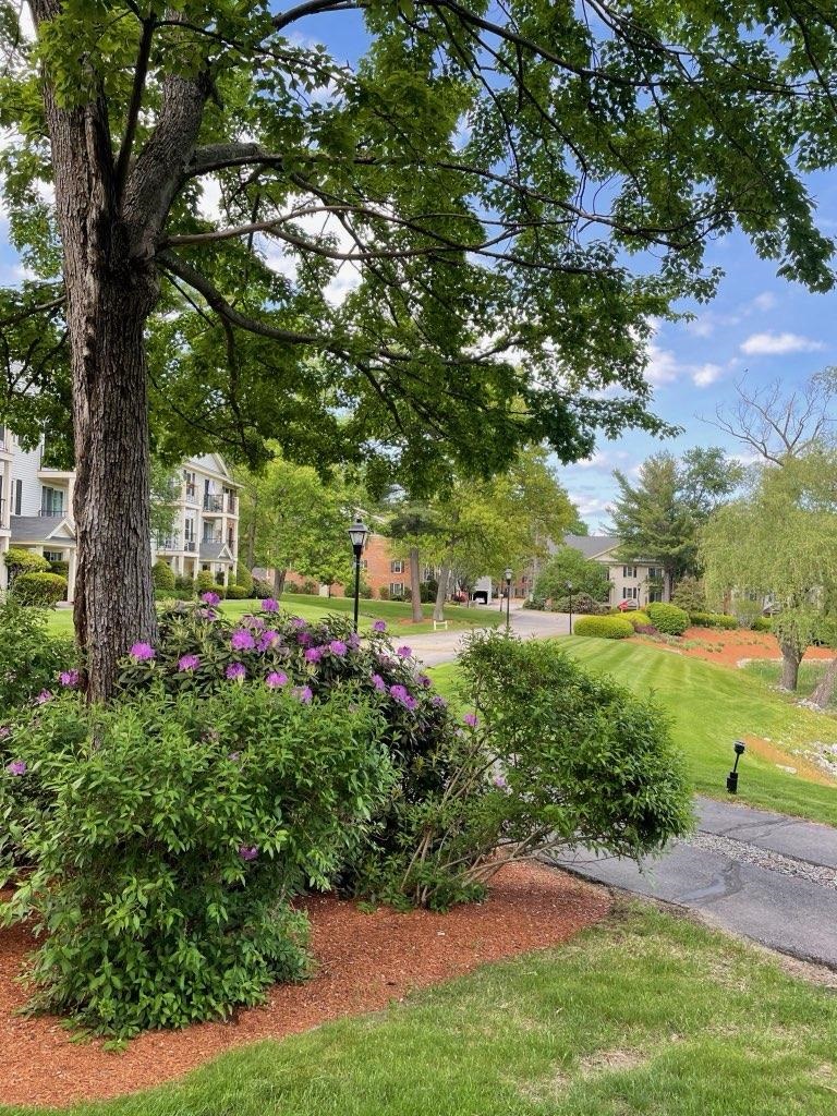 8 Northbrook Drive Property Photo 18