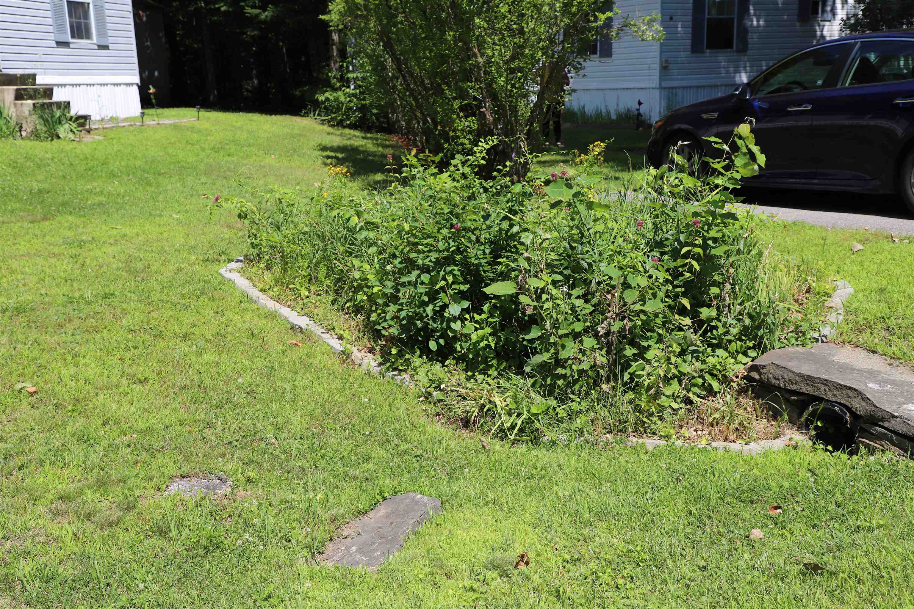 14 Deepwood Park Property Photo 33