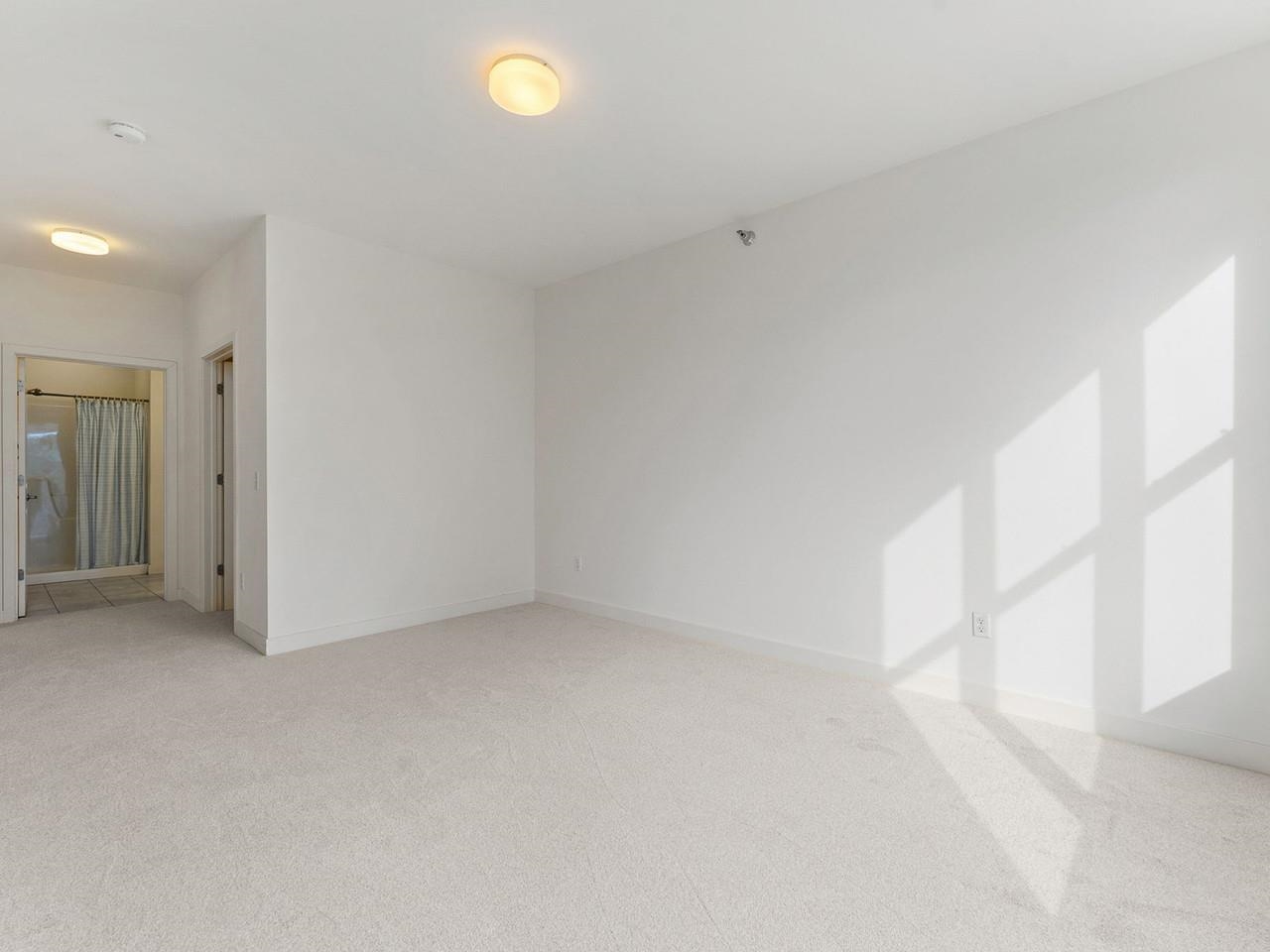410 Farrell Street Property Photo 18