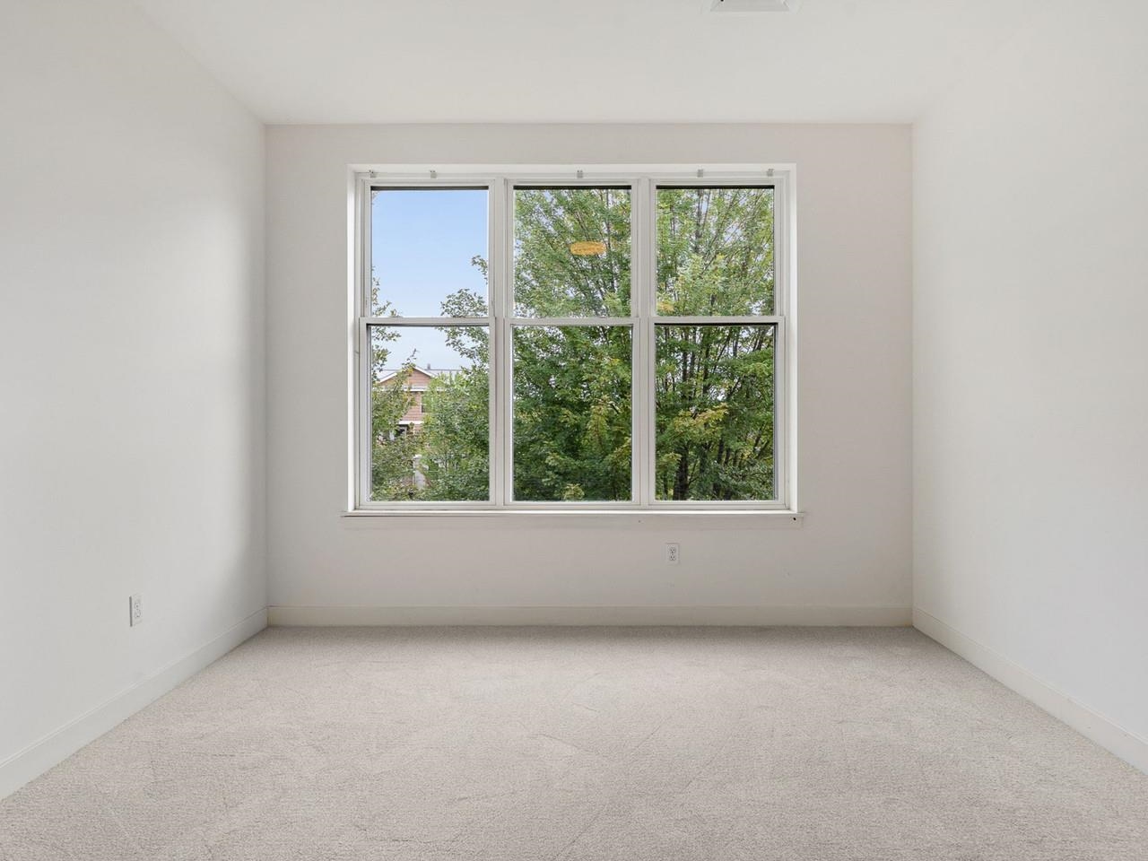 410 Farrell Street Property Photo 21