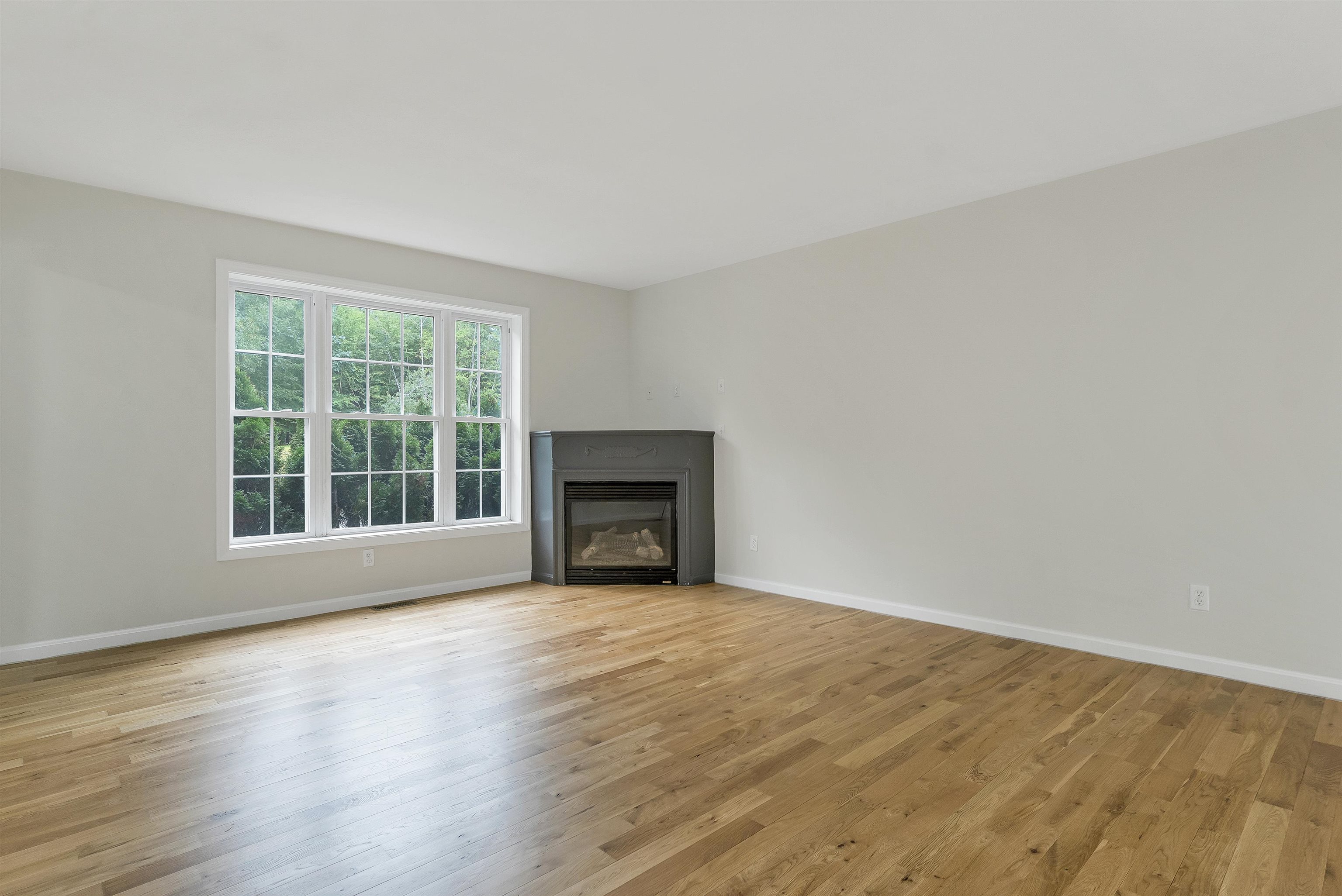 166 Sandown Road Property Photo 9
