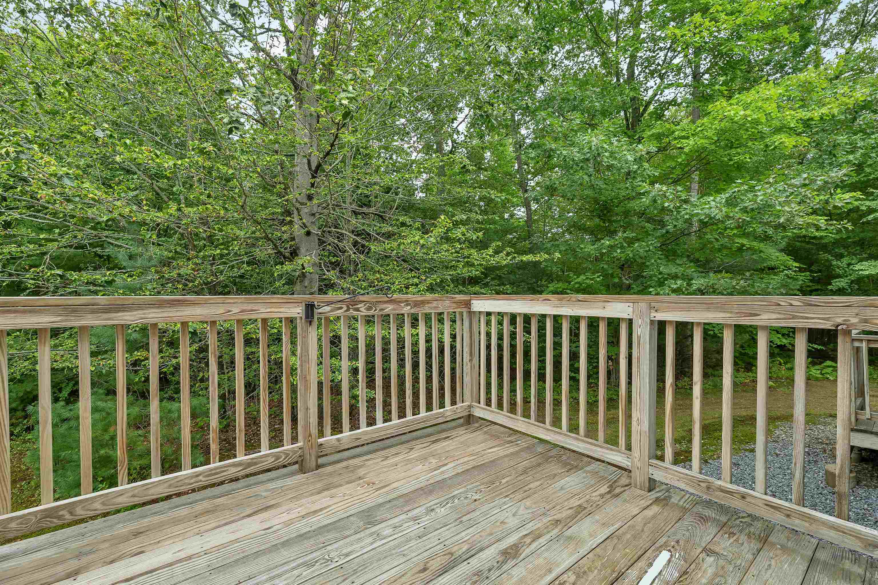 166 Sandown Road Property Photo 37