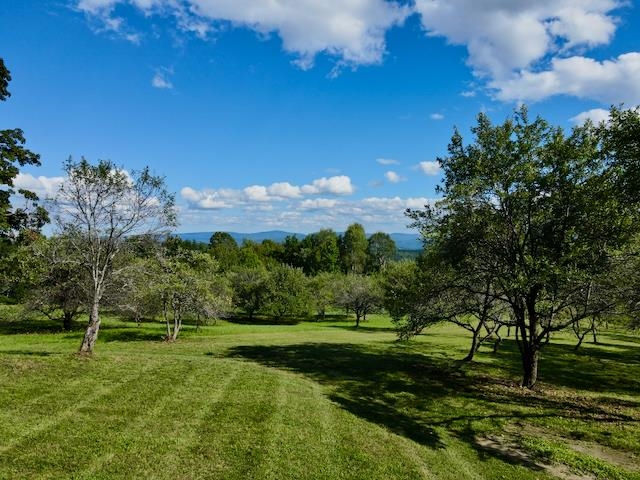 232 Town Farm Hill Road Property Photo 55