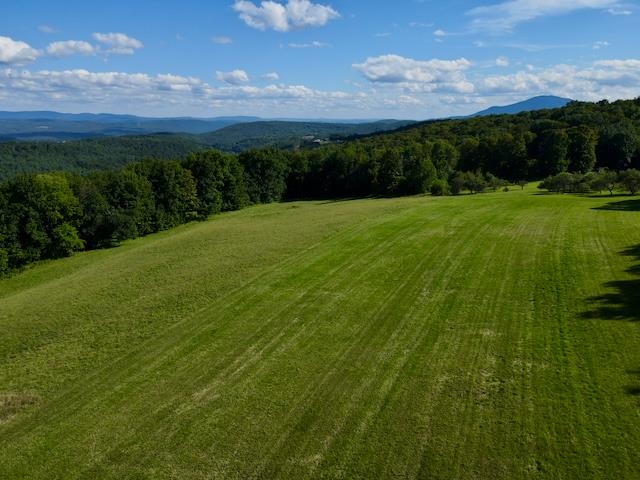 232 Town Farm Hill Road Property Photo 56
