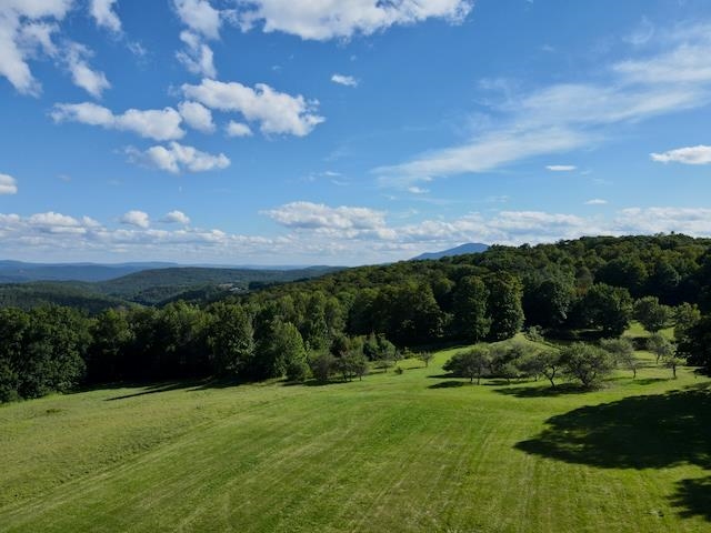 232 Town Farm Hill Road Property Photo 59
