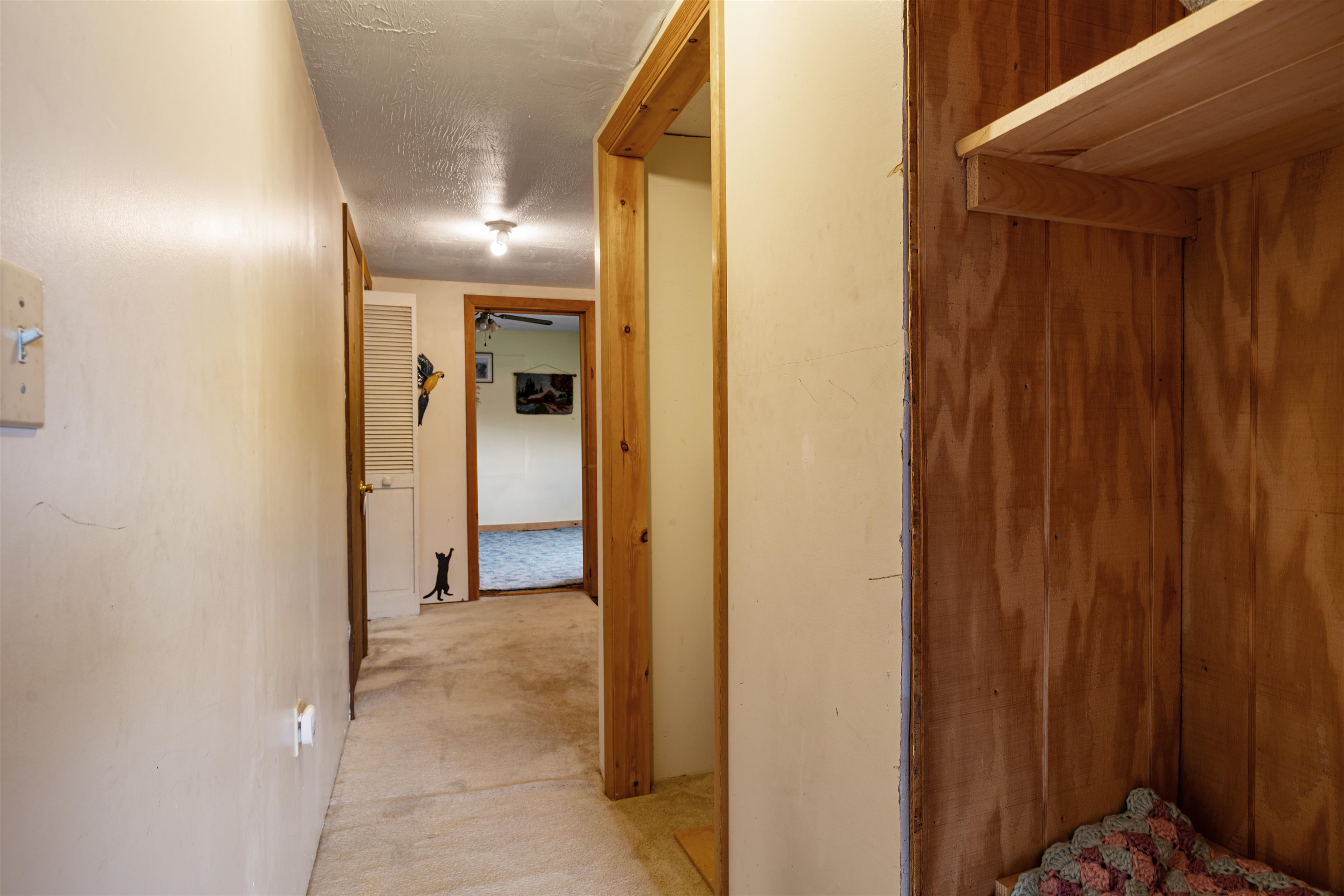 1367 Lost Nation Road Property Photo 36