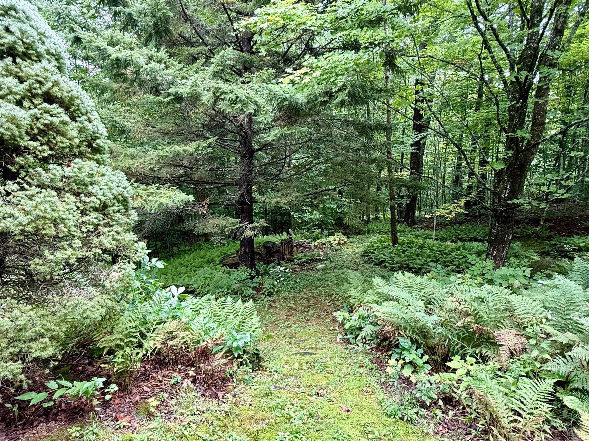 756 Birch Hill Road Property Photo 6