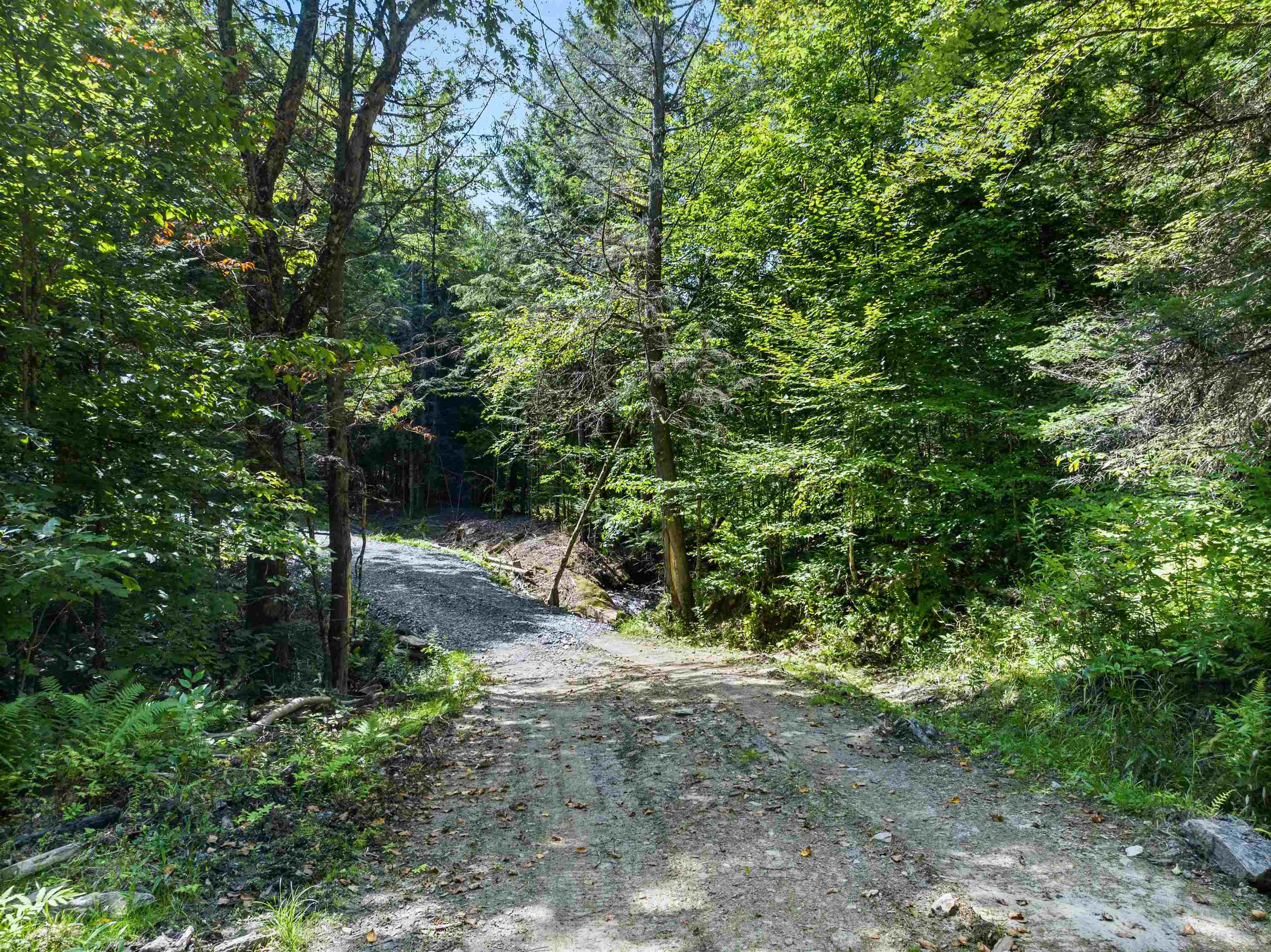 245 Murray Road Property Photo 9
