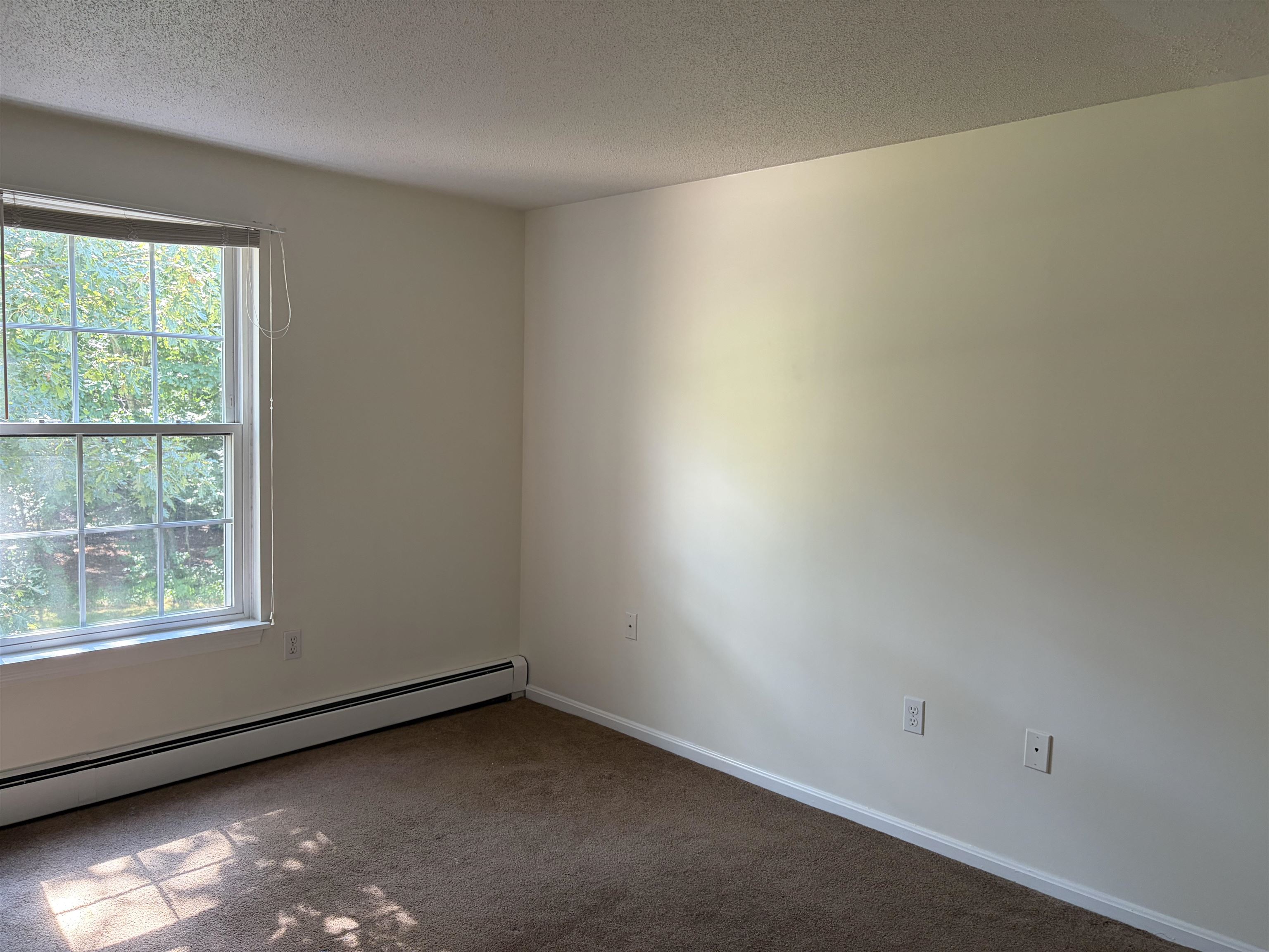 2108 White Cedar Boulevard Property Photo 9