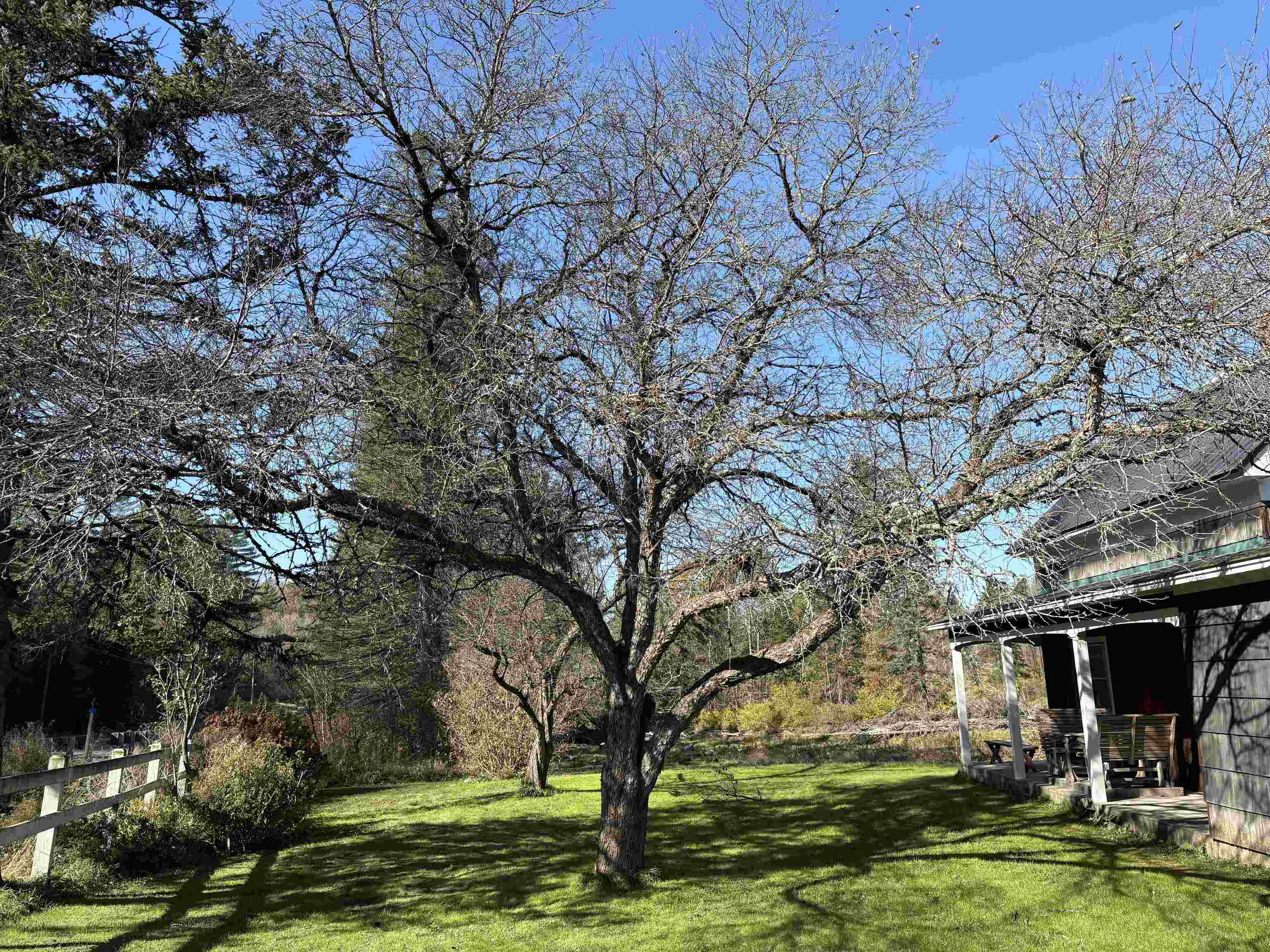 609 Route 15 Property Photo 59