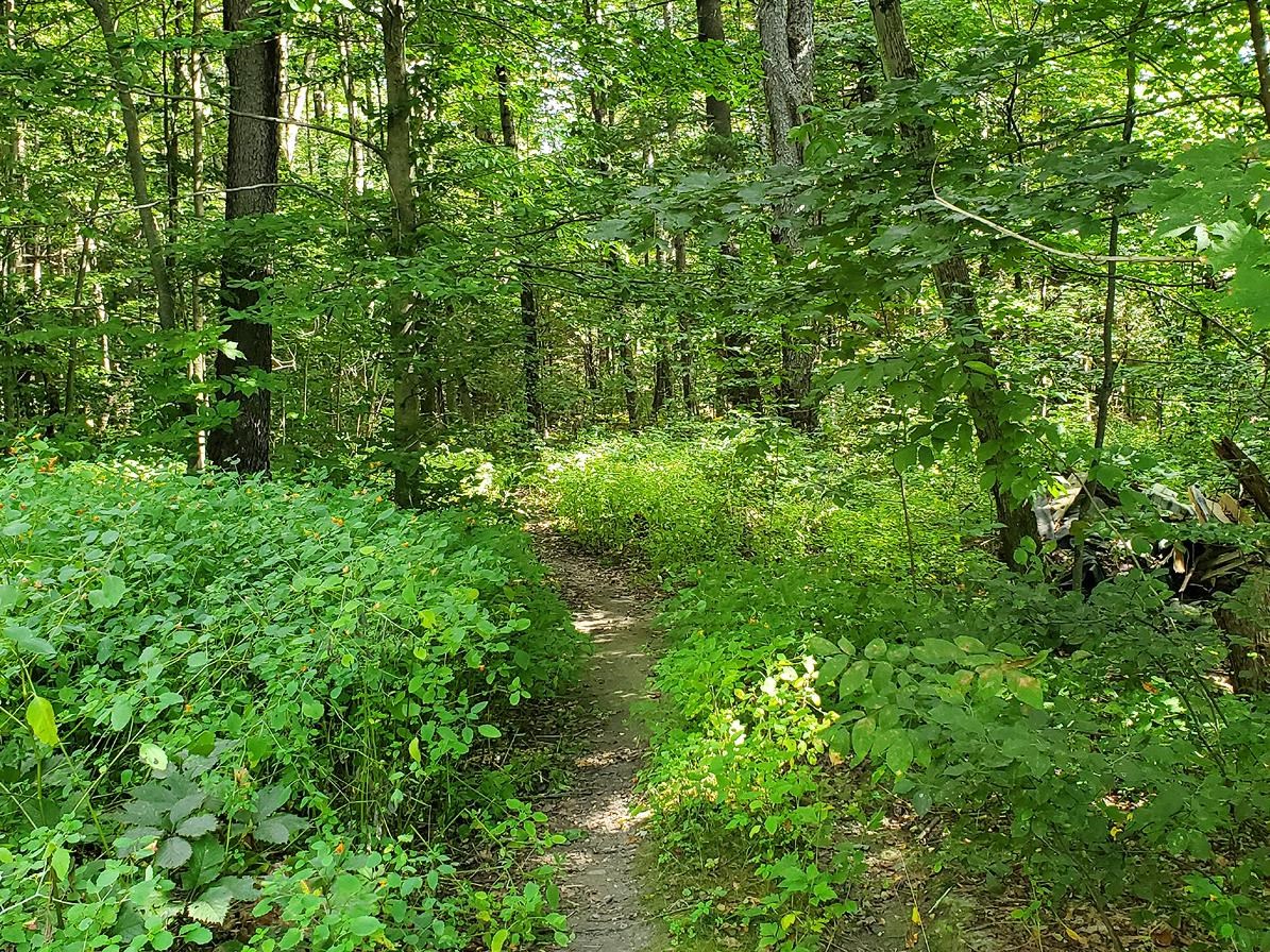 31 Christmas Tree Road Property Photo 27