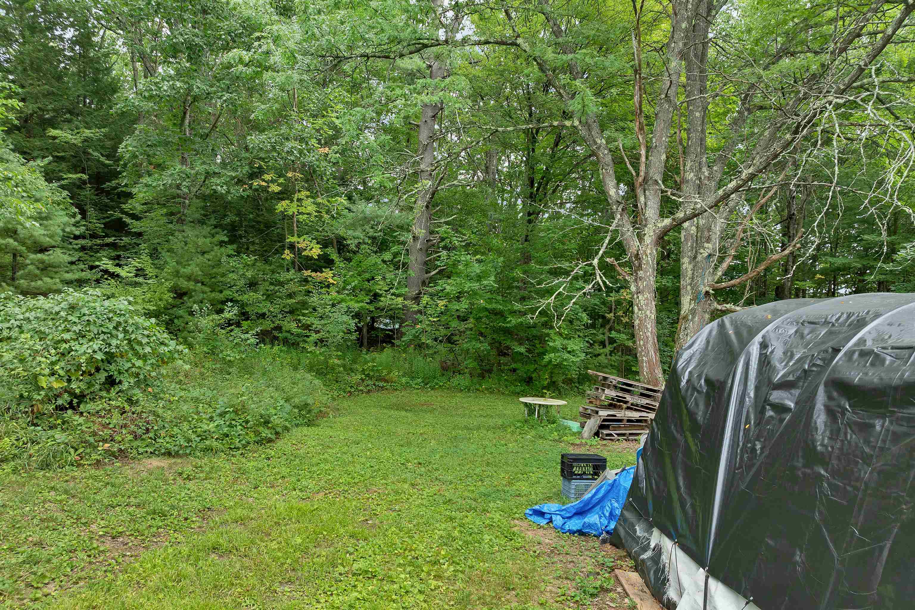 169 Old Town Road Property Photo 48