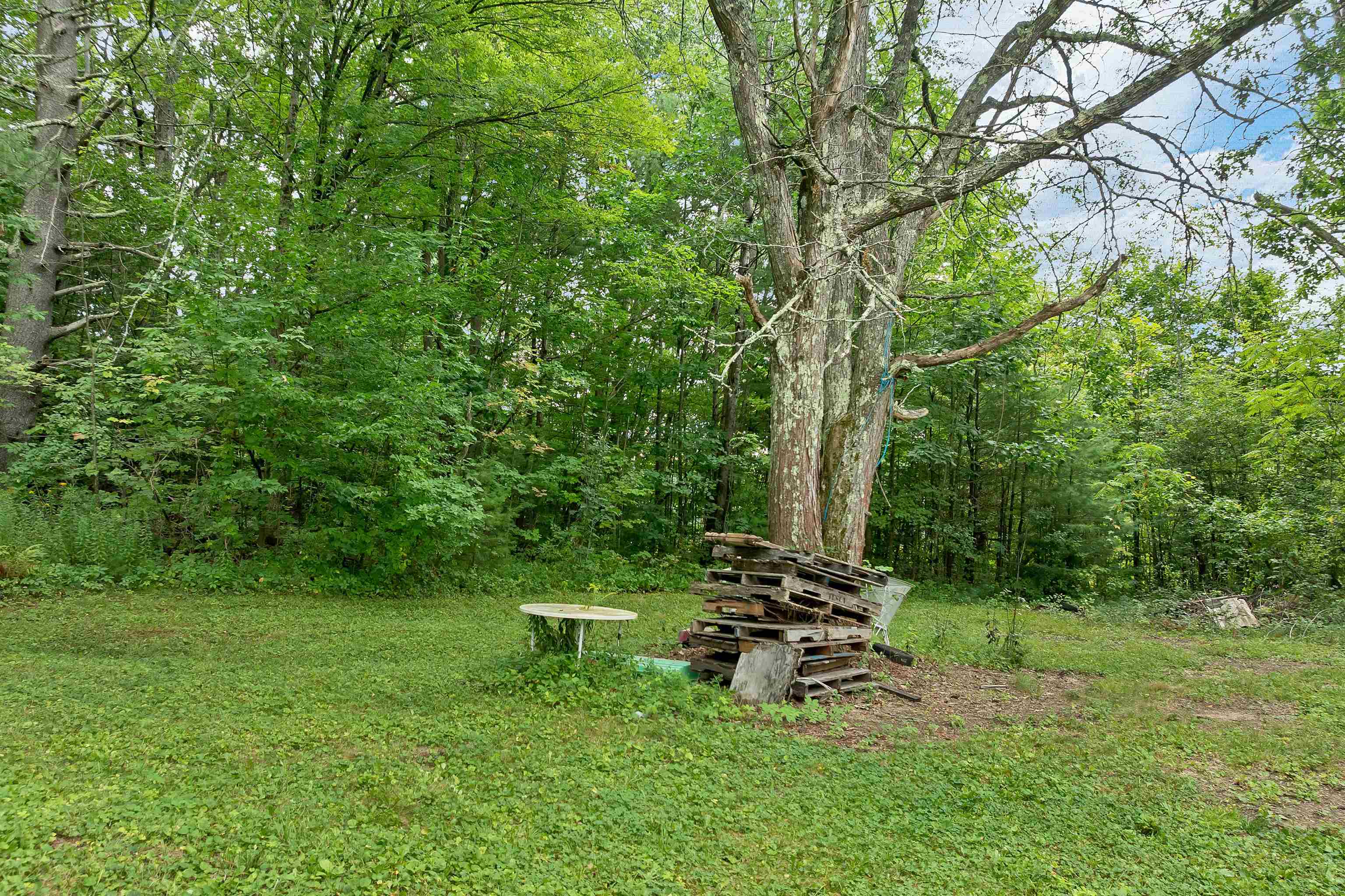 169 Old Town Road Property Photo 49