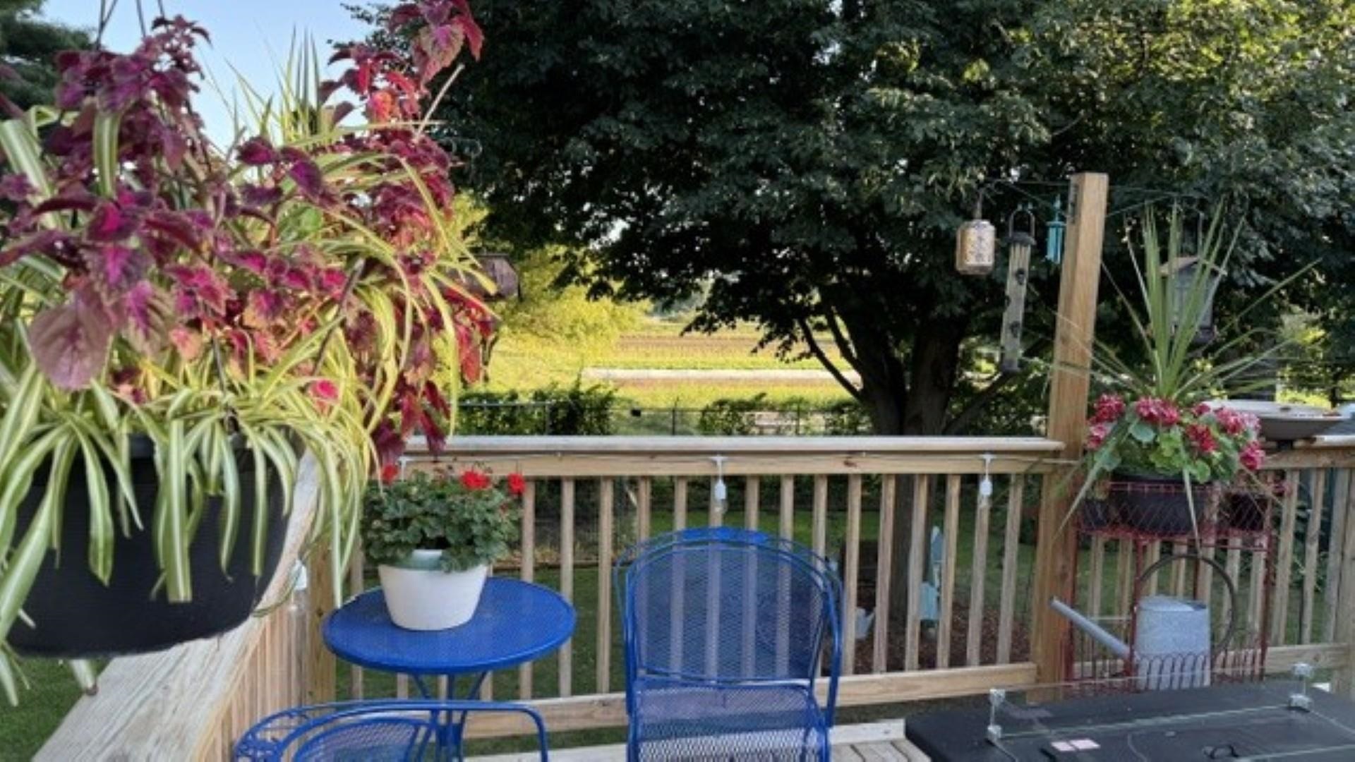 7 Sebring Road Property Photo 9