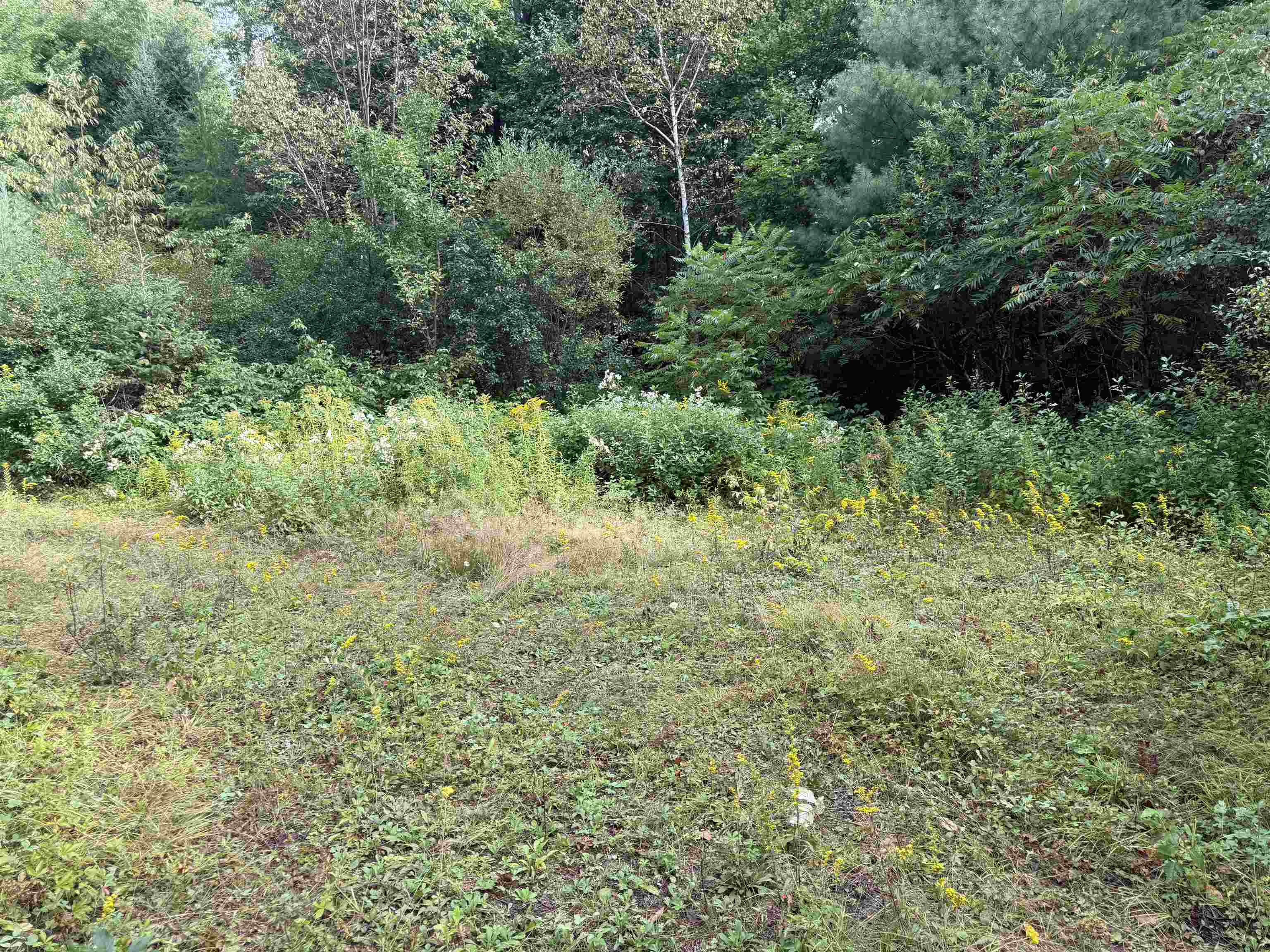 0 North Road Property Photo 3