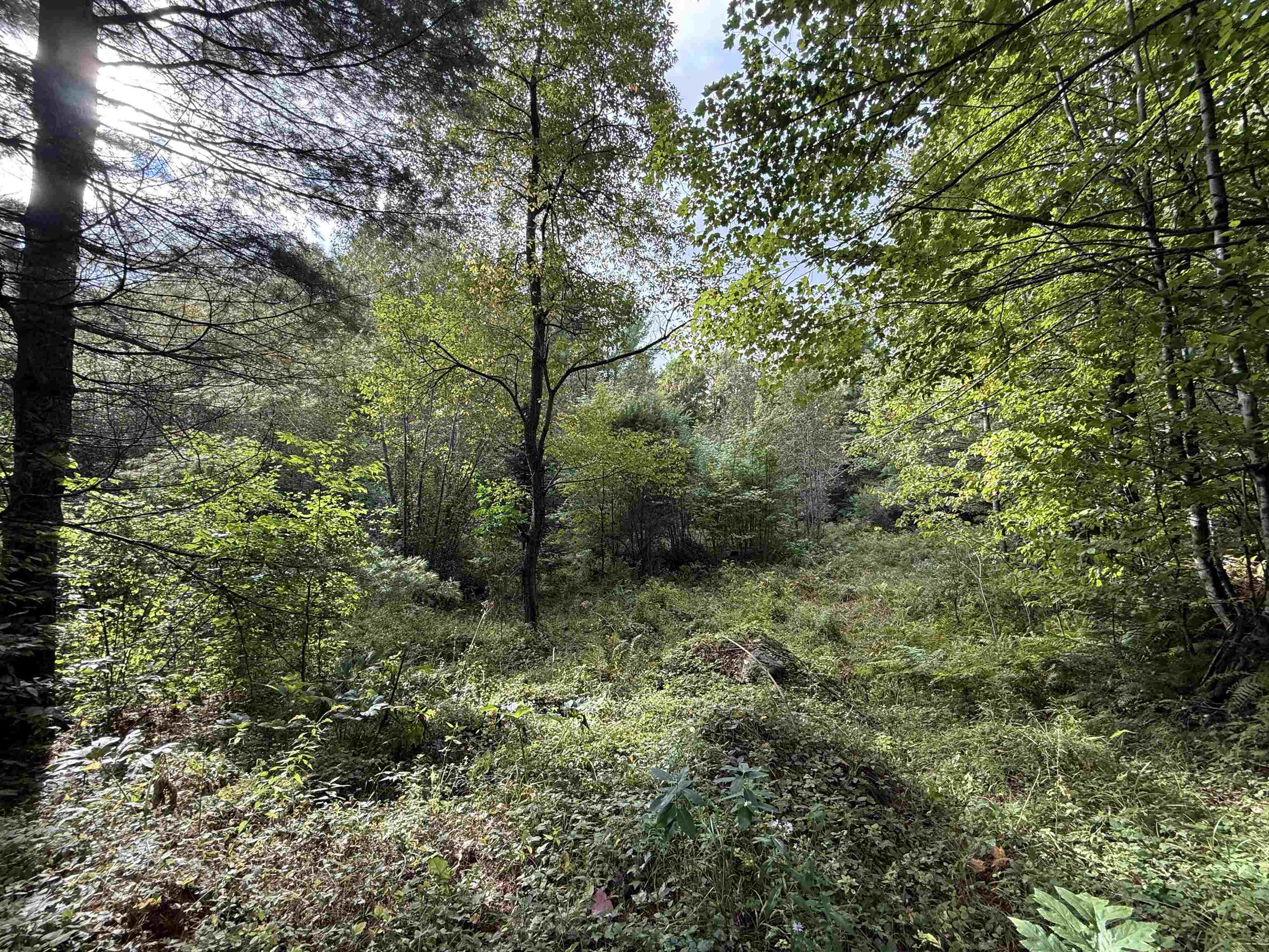 0 North Road Property Photo 8